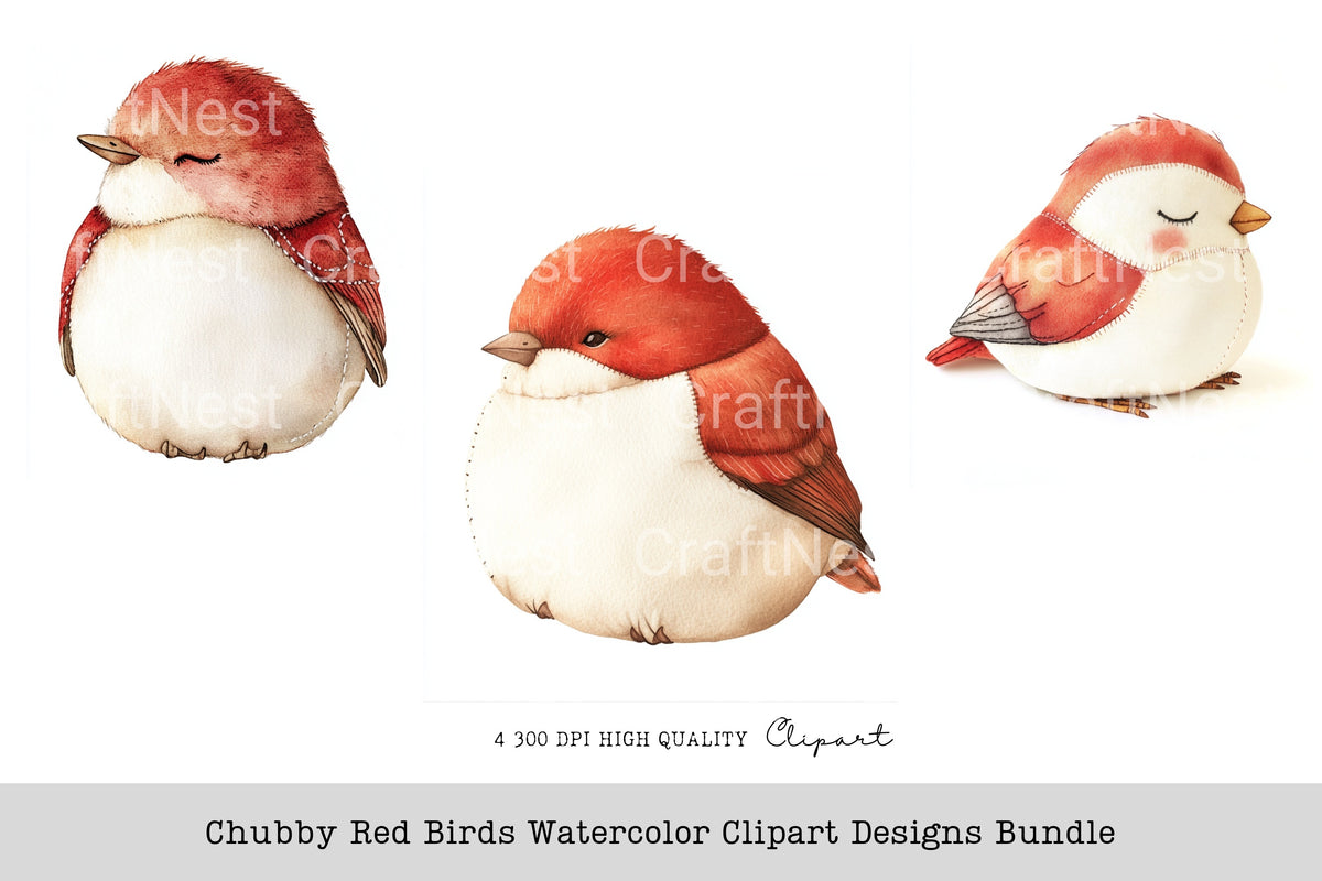 Chubby Red Birds Designs Clipart Bundle