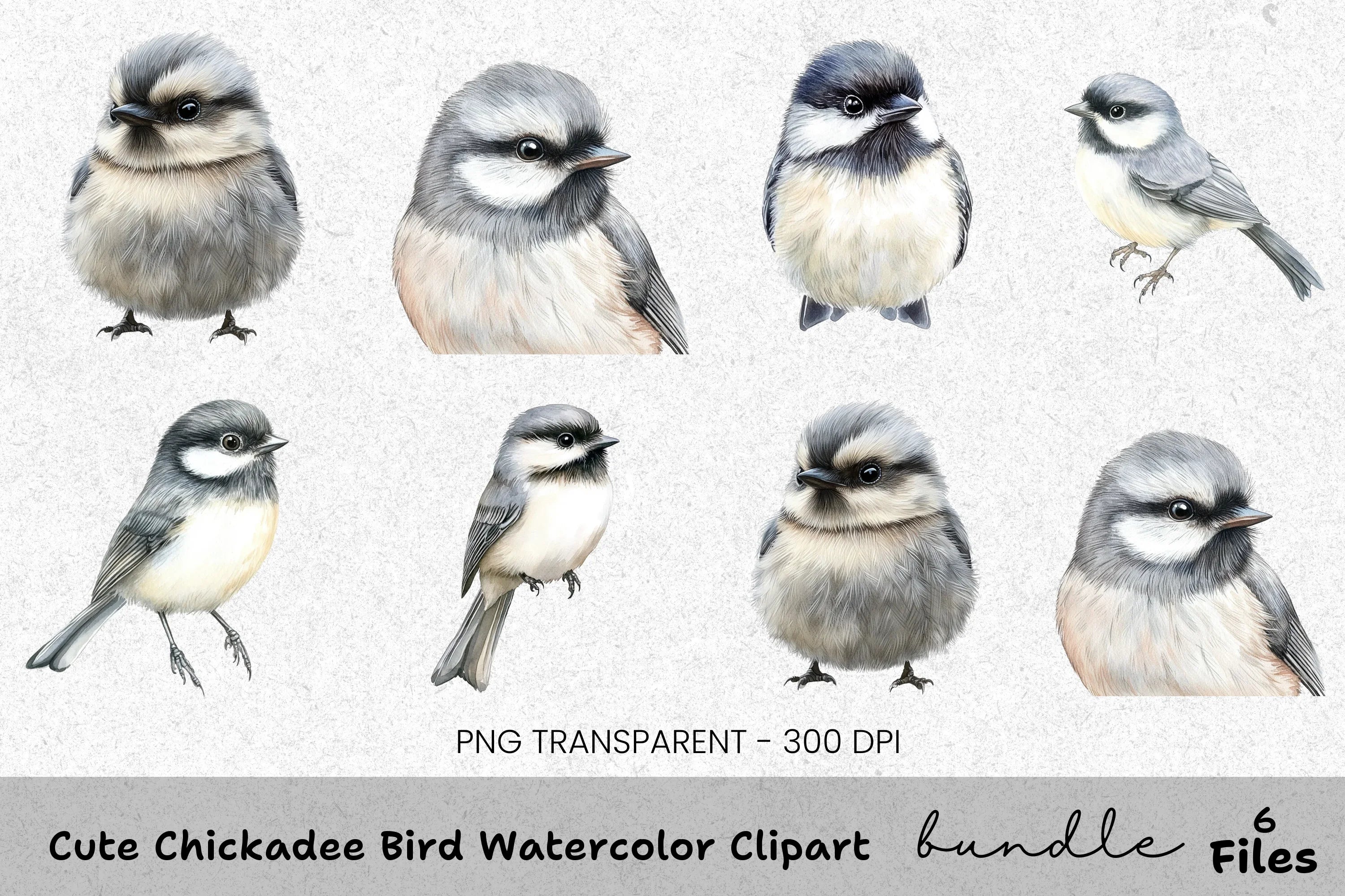 Cute Chickadee Bird Clipart Bundle
