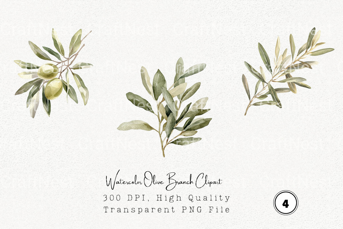 Olive Branch Clipart Bundle