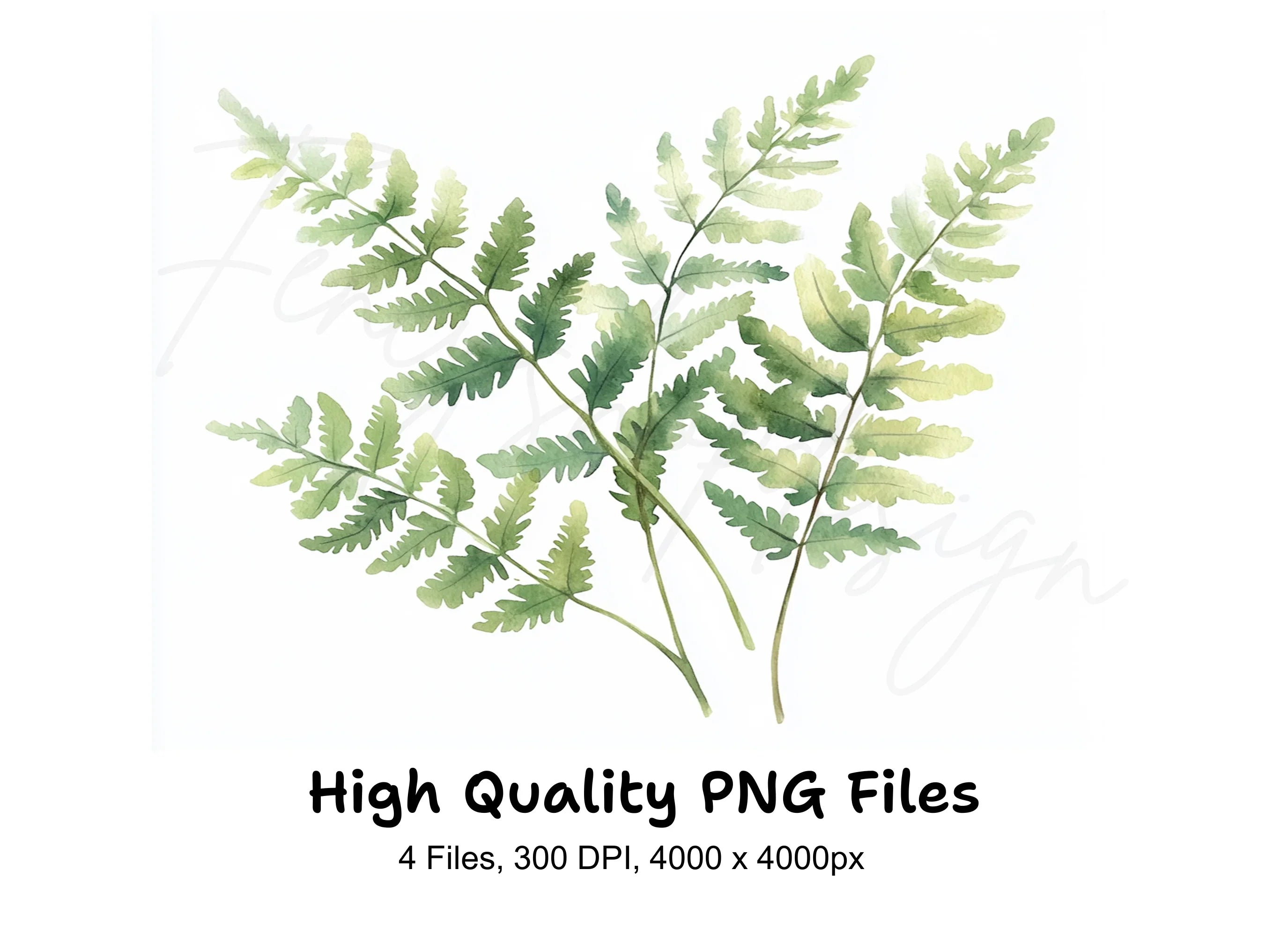 Delicate Fern Clipart Bundle