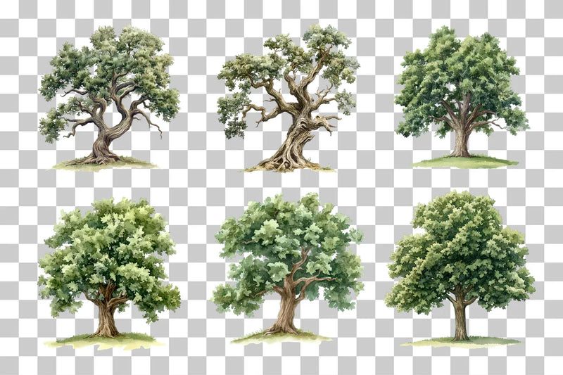 Old Oak Tree Nature Clipart Bundle - CraftNest - Digital Crafting and Art