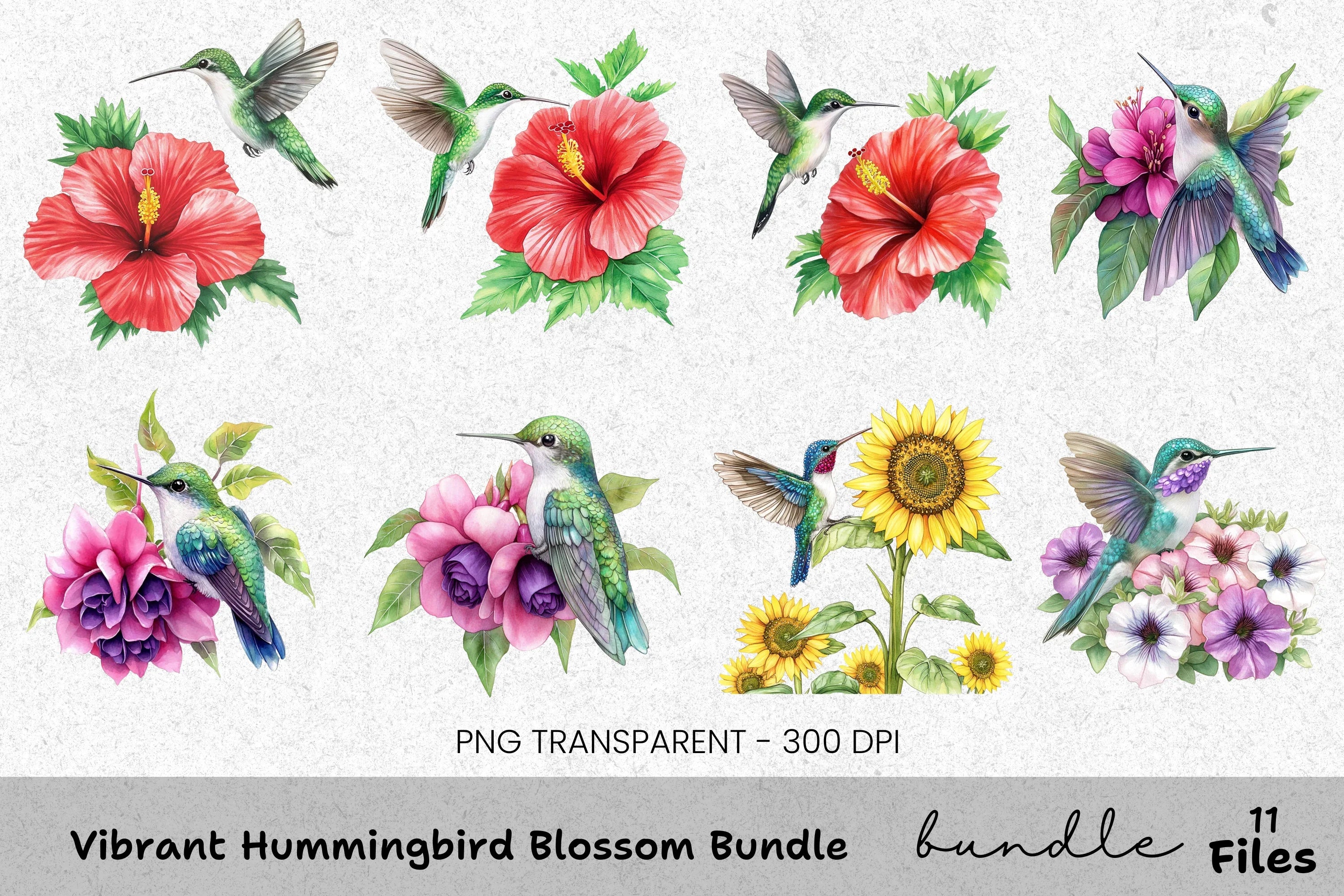 Vibrant Hummingbird Blossom Clipart Bundle