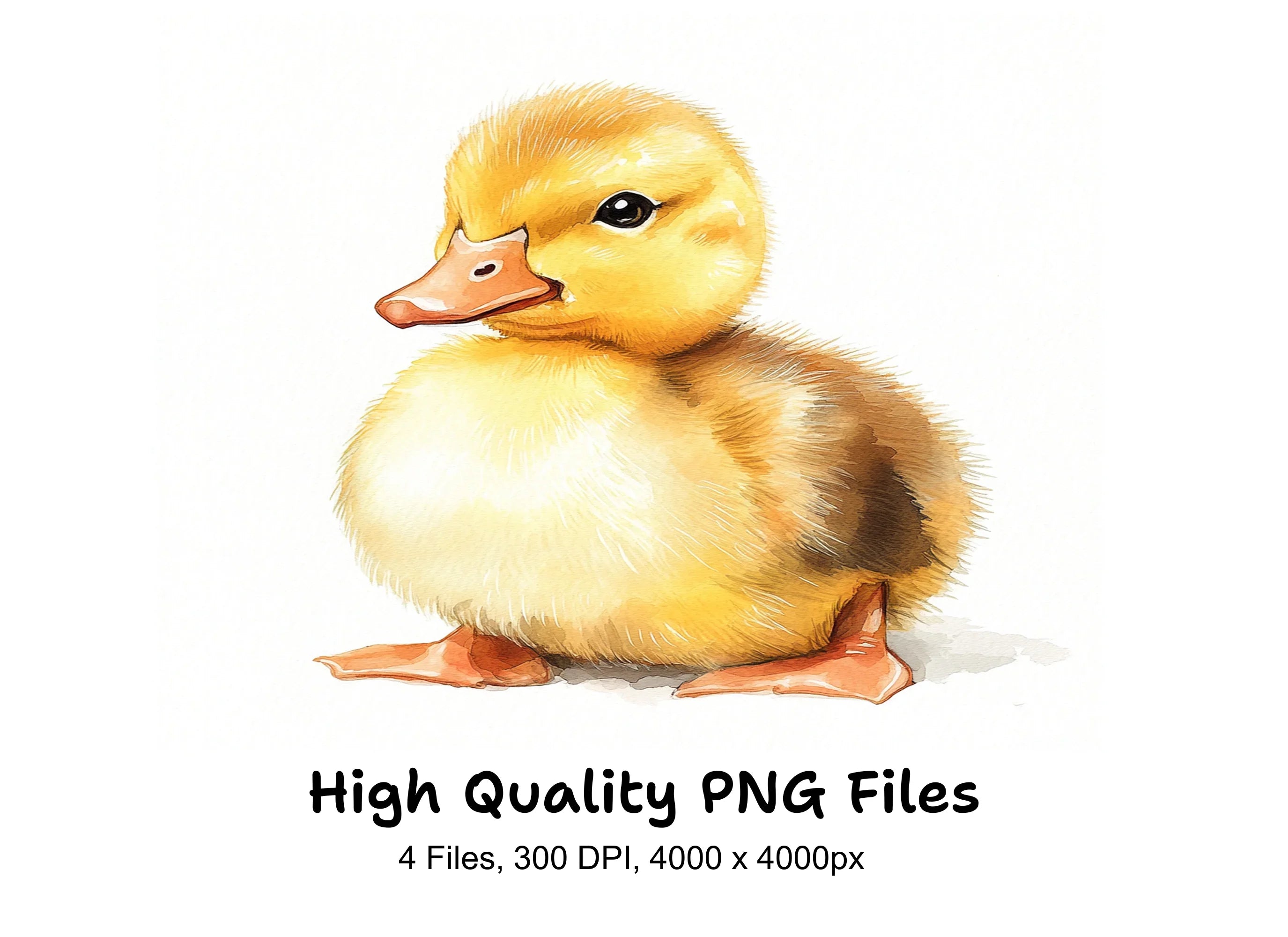Cute Fluffy Duckling Clipart Bundle