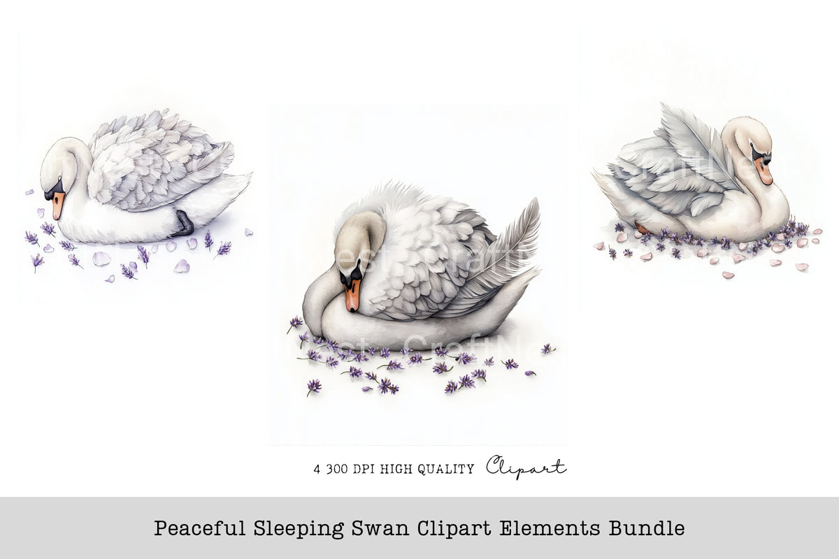 Peaceful Sleeping Swan Elements Clipart Bundle