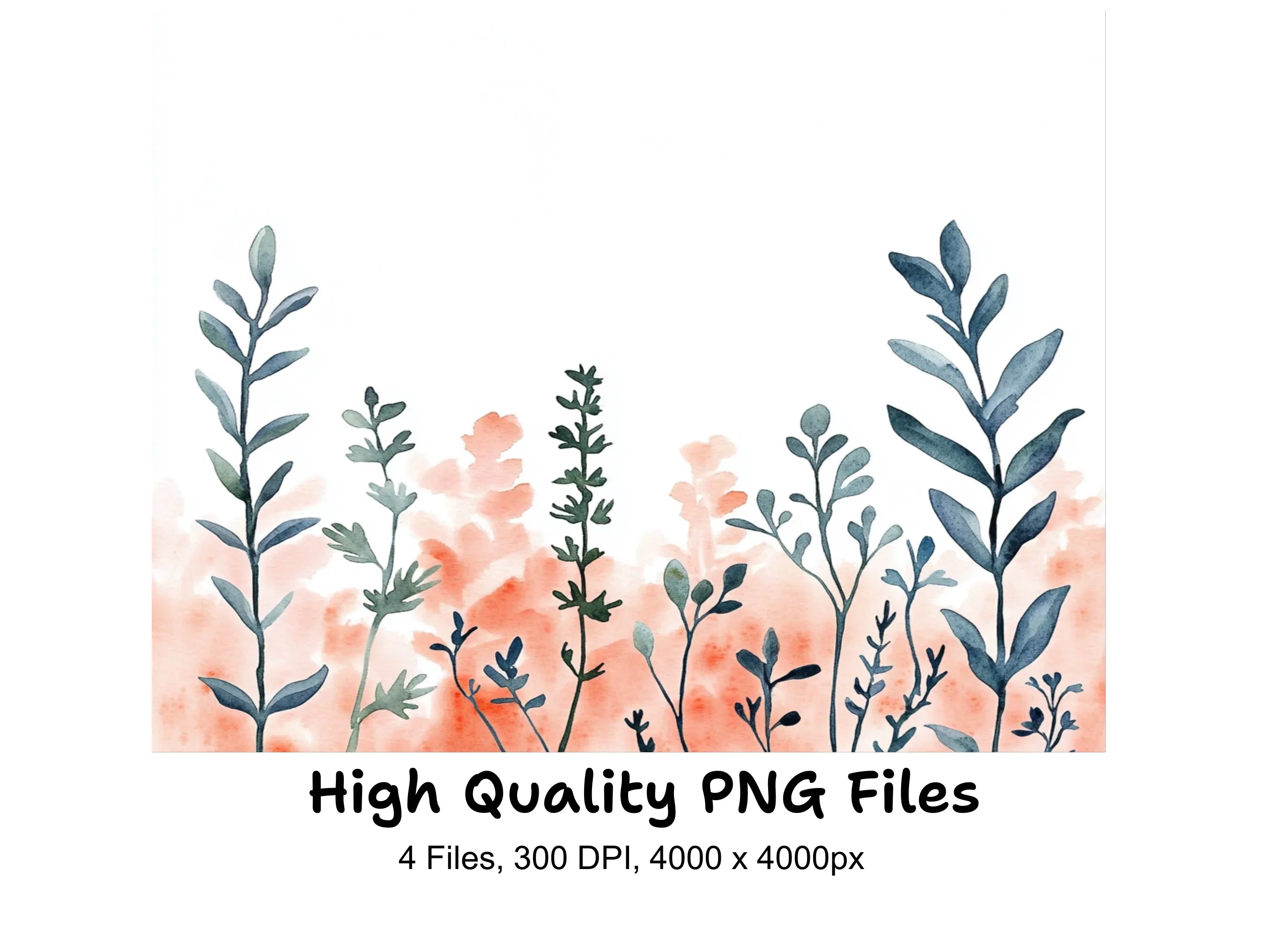 Botanical Clipart Bundle