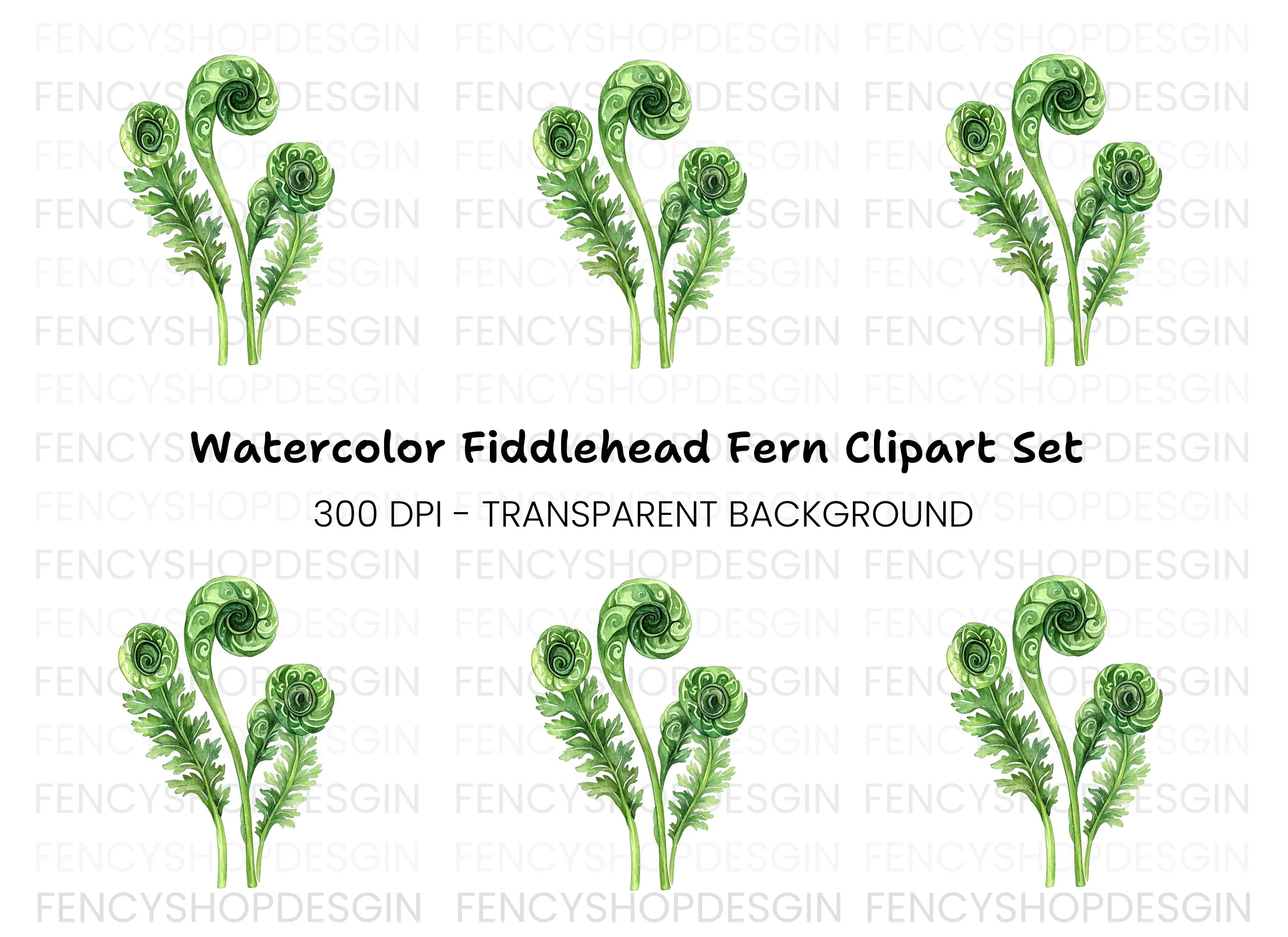 Fiddlehead Ferns Clipart Bundle
