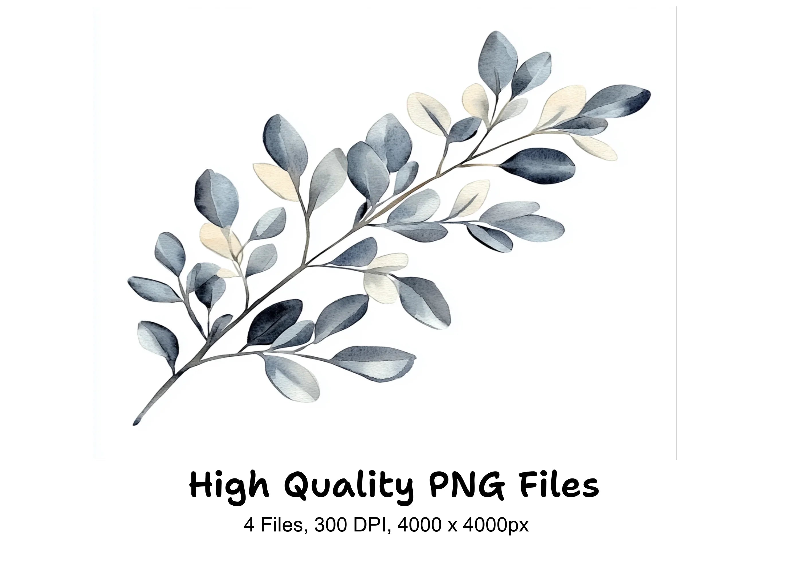 Eucalyptus Branches Clipart Bundle