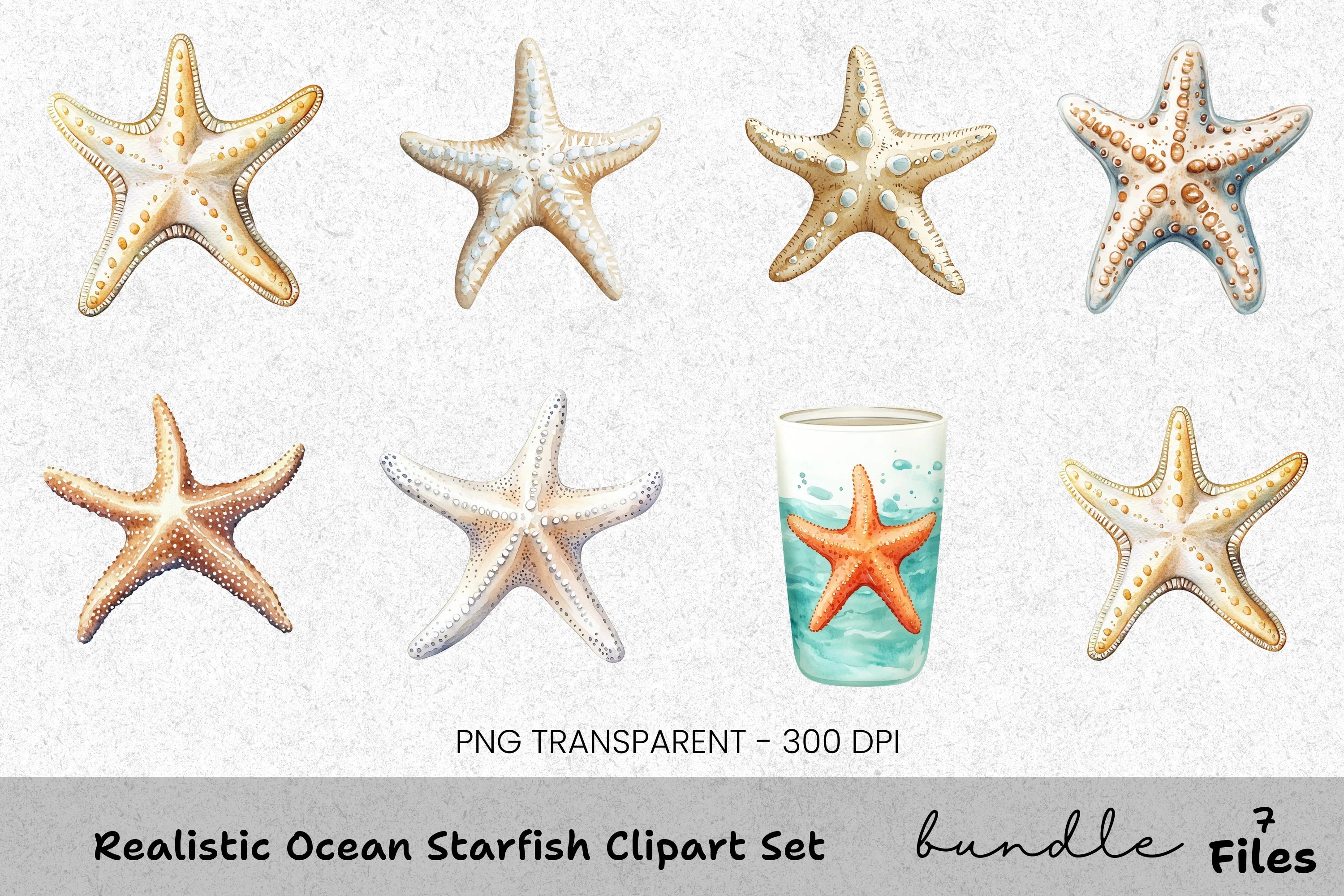 Realistic Ocean Starfish Clipart Bundle