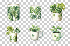 Indoor Plant Design Mug Wrap Bundle - CraftNest - Digital Crafting and Art