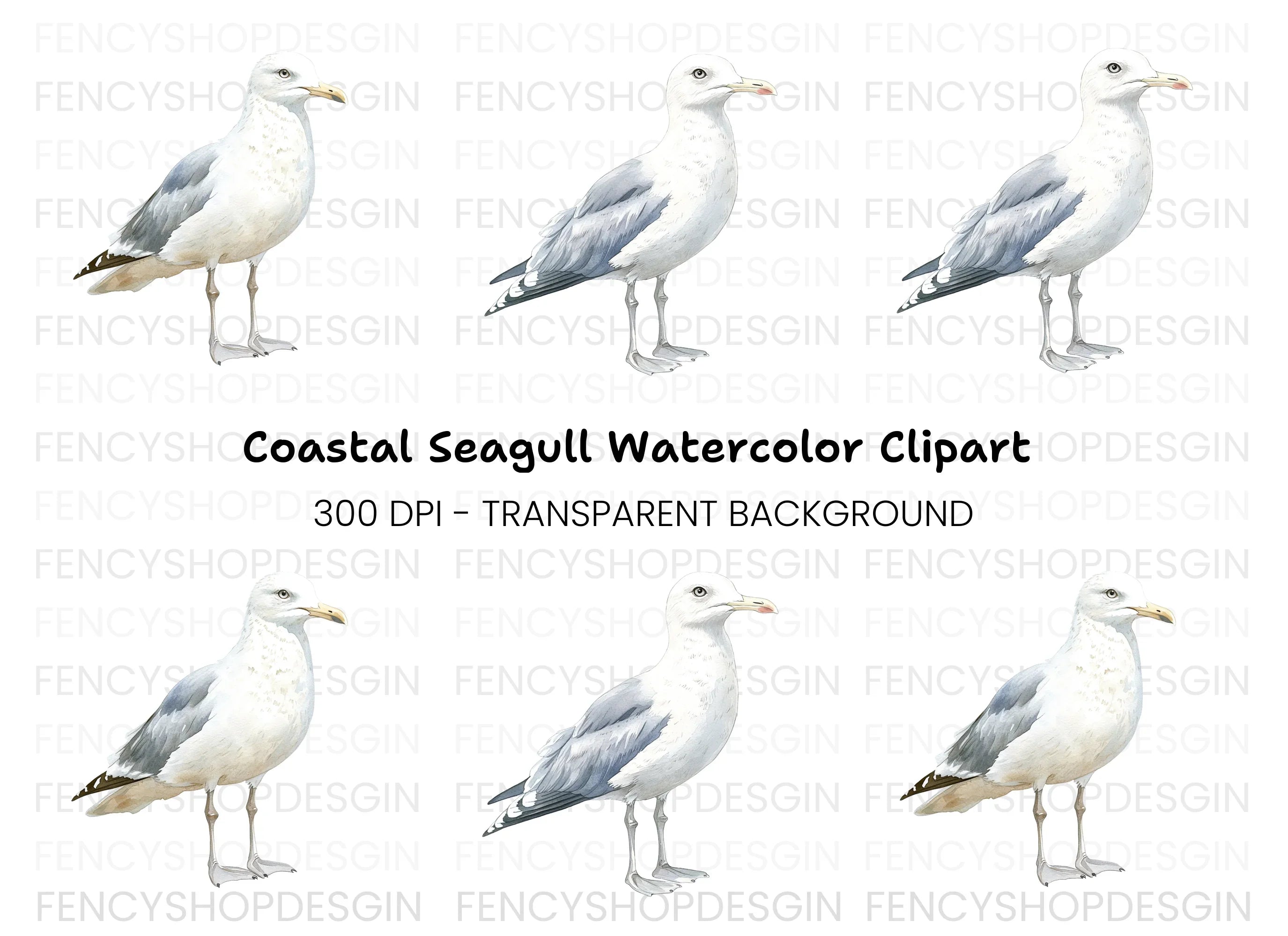Seagull Clipart Bundle