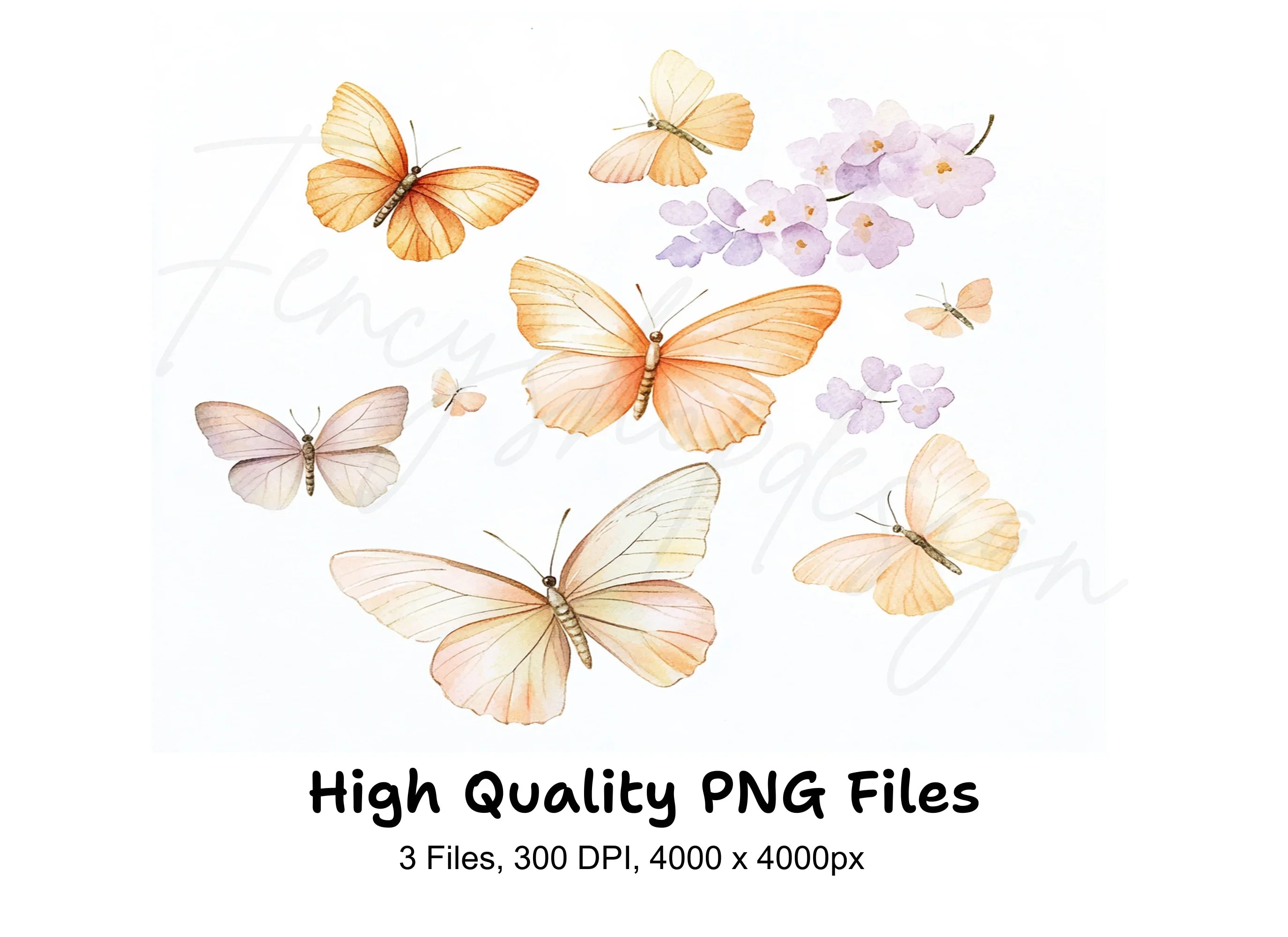 Butterfly Floral Clipart Bundle