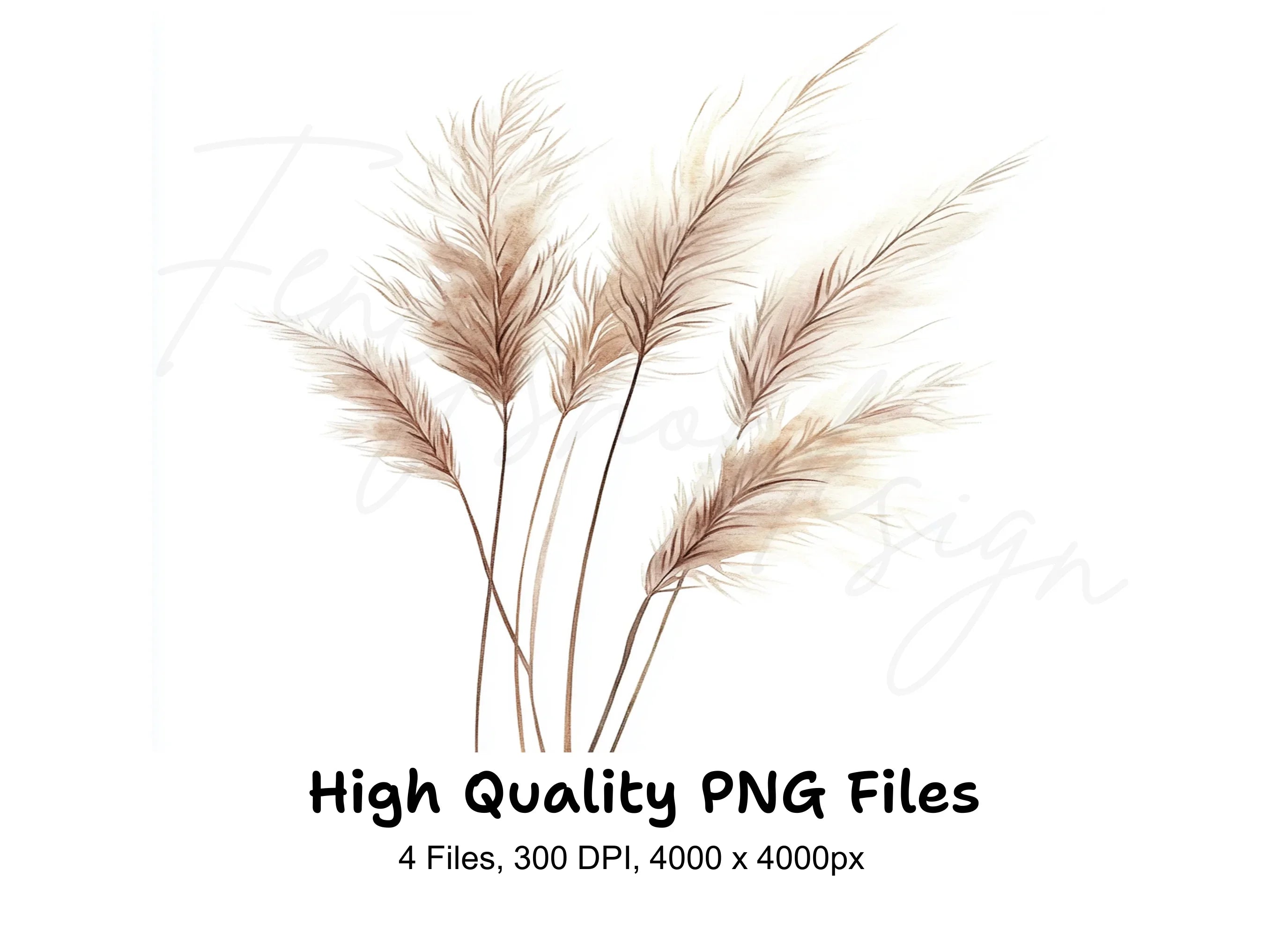 Pampas Grass Clipart Bundle
