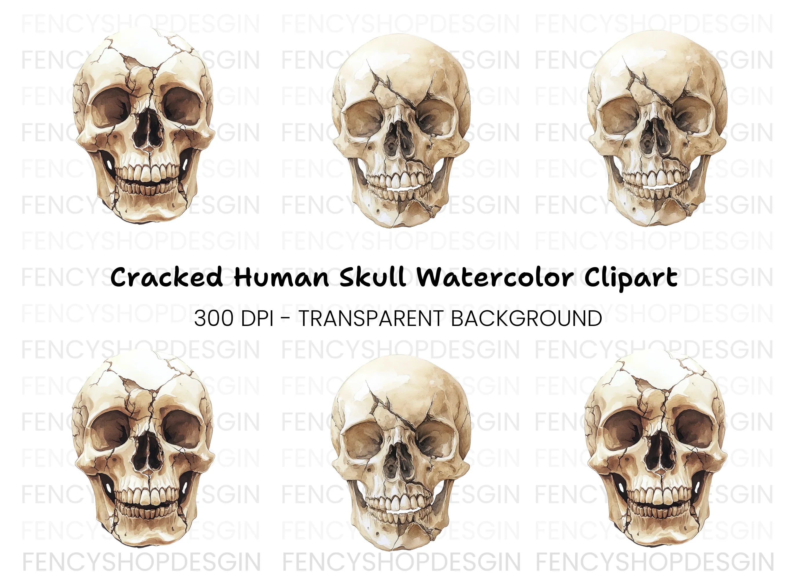 Cracked Human Skull Clipart Bundle
