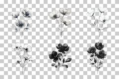 Black and White Floral Art Clipart Bundle - CraftNest - Digital Crafting and Art