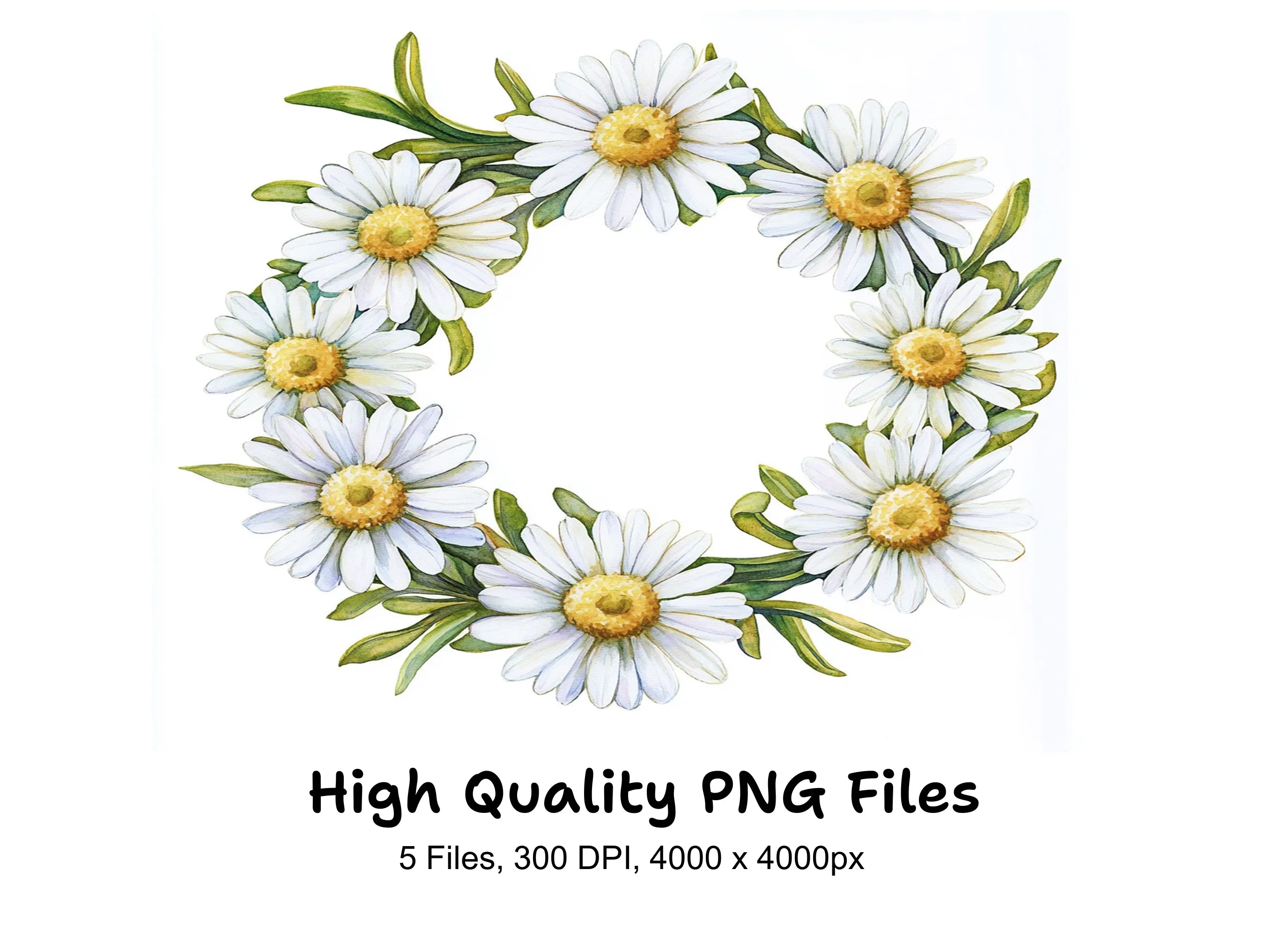 Charming Daisy Flower Wreath Clipart Bundle