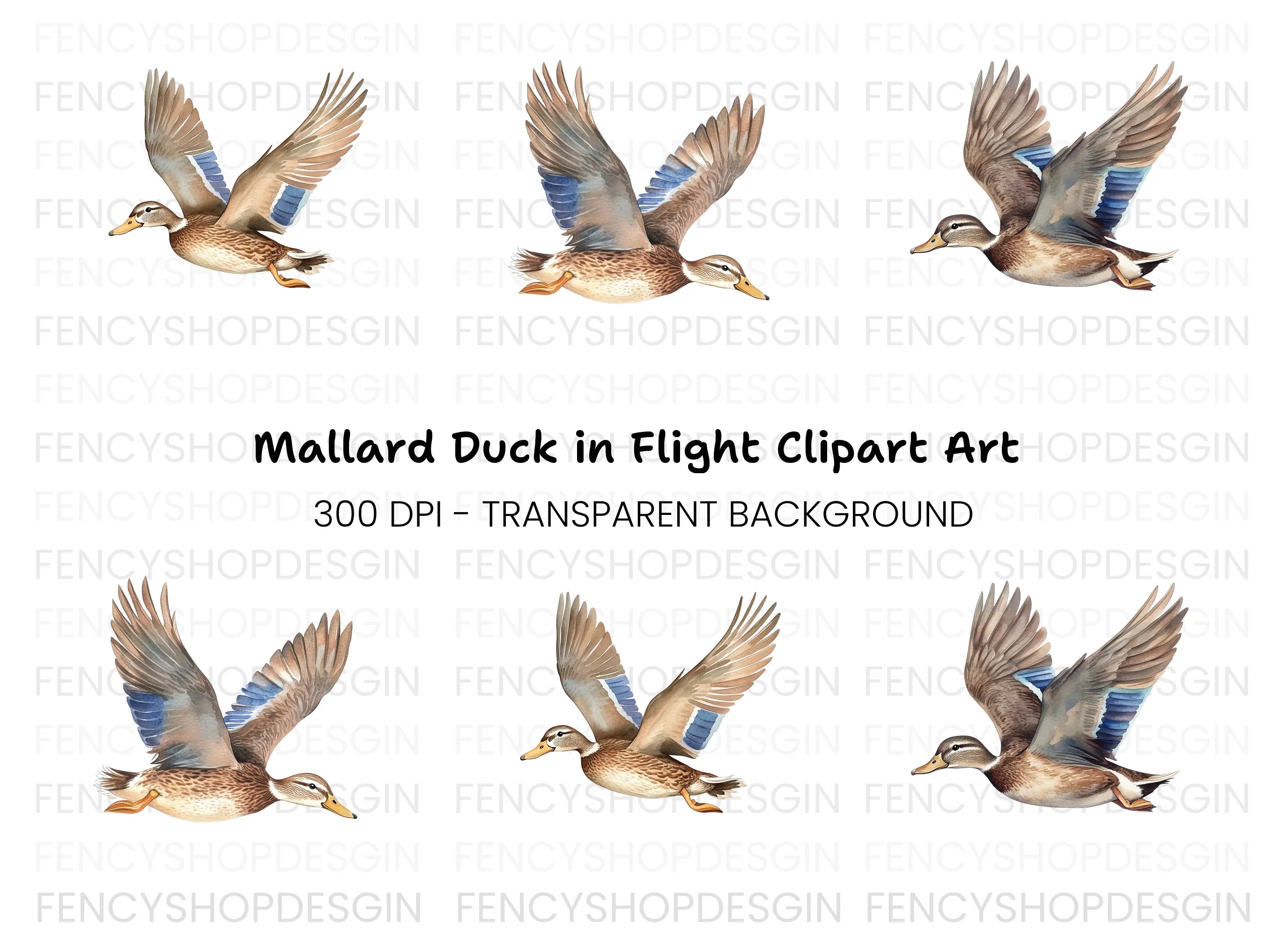Mallard Ducks in Flight Clipart Bundle