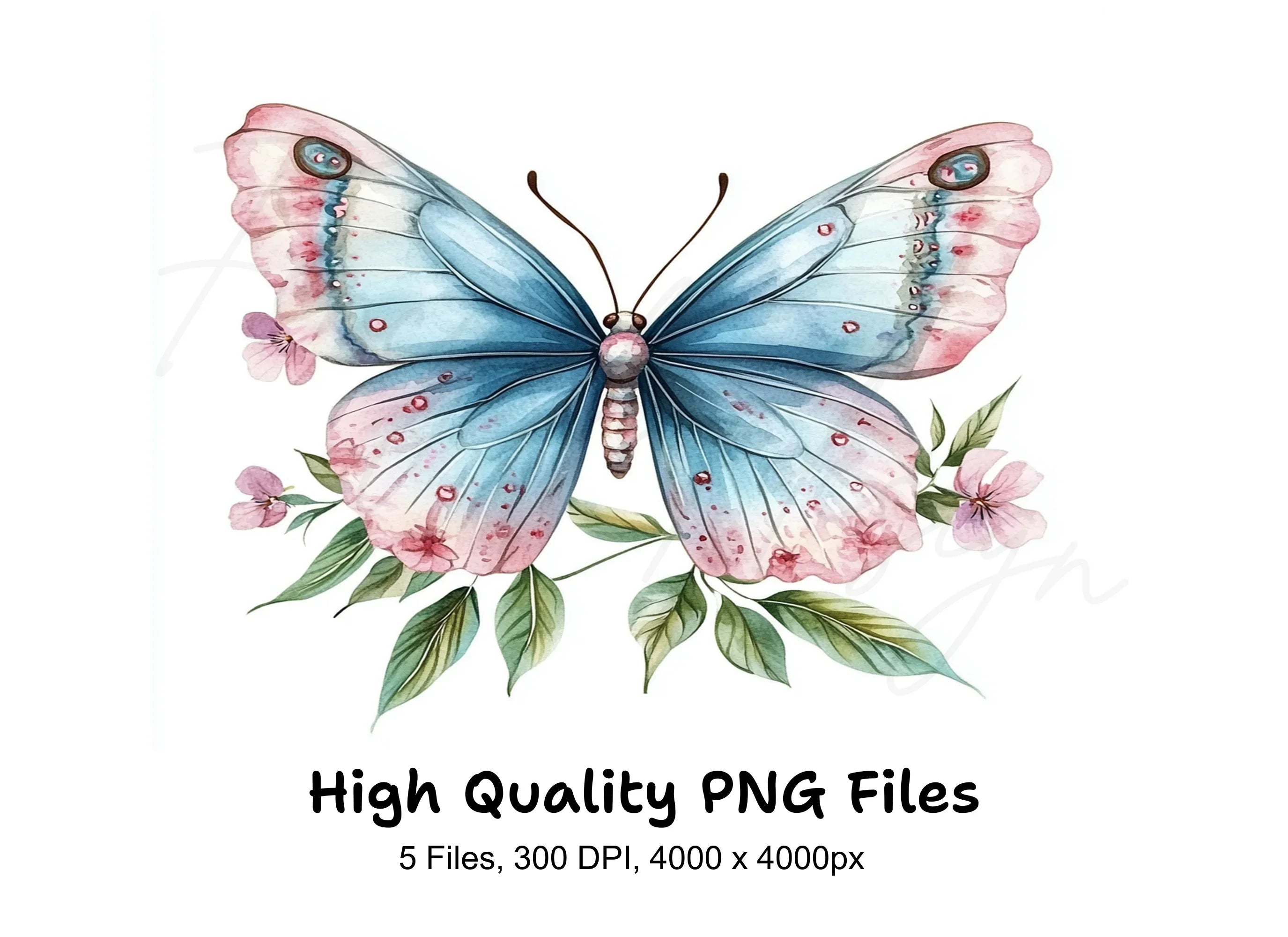 Butterfly Clipart Bundle