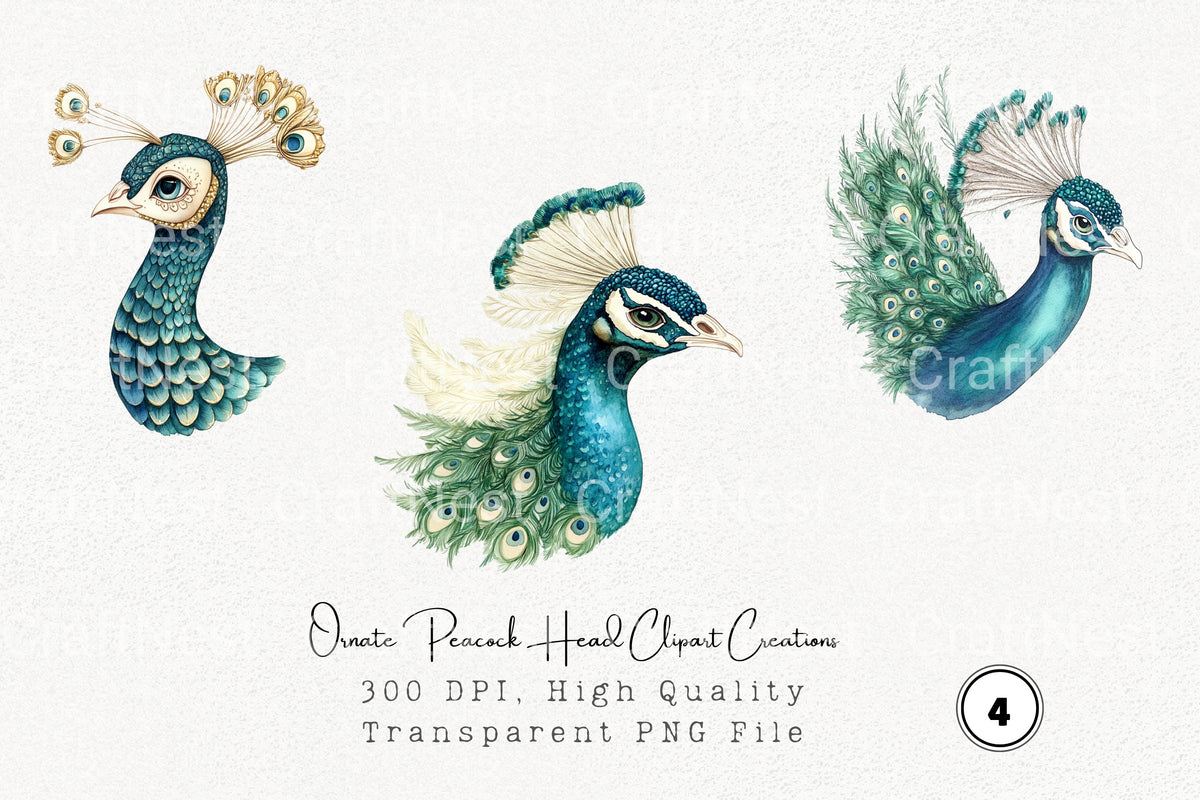 Ornate Peacock Head Creations Clipart Bundle