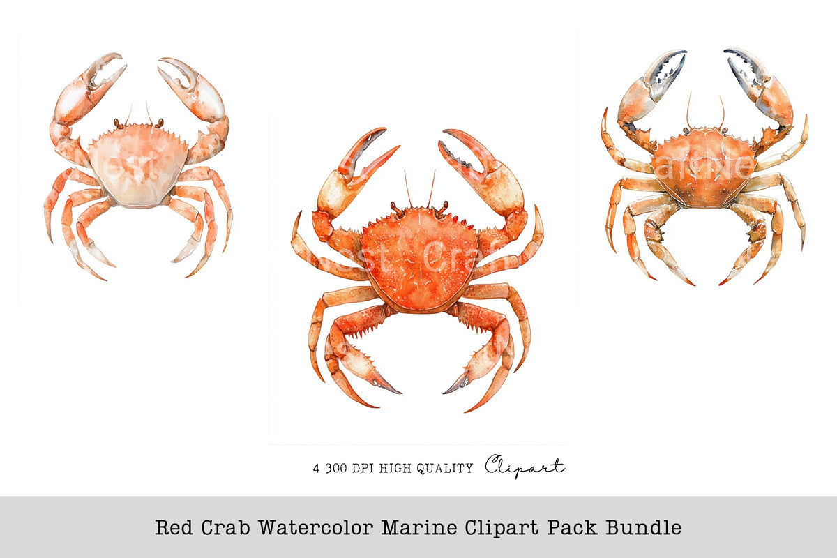 Red Crab Marine Clipart Bundle