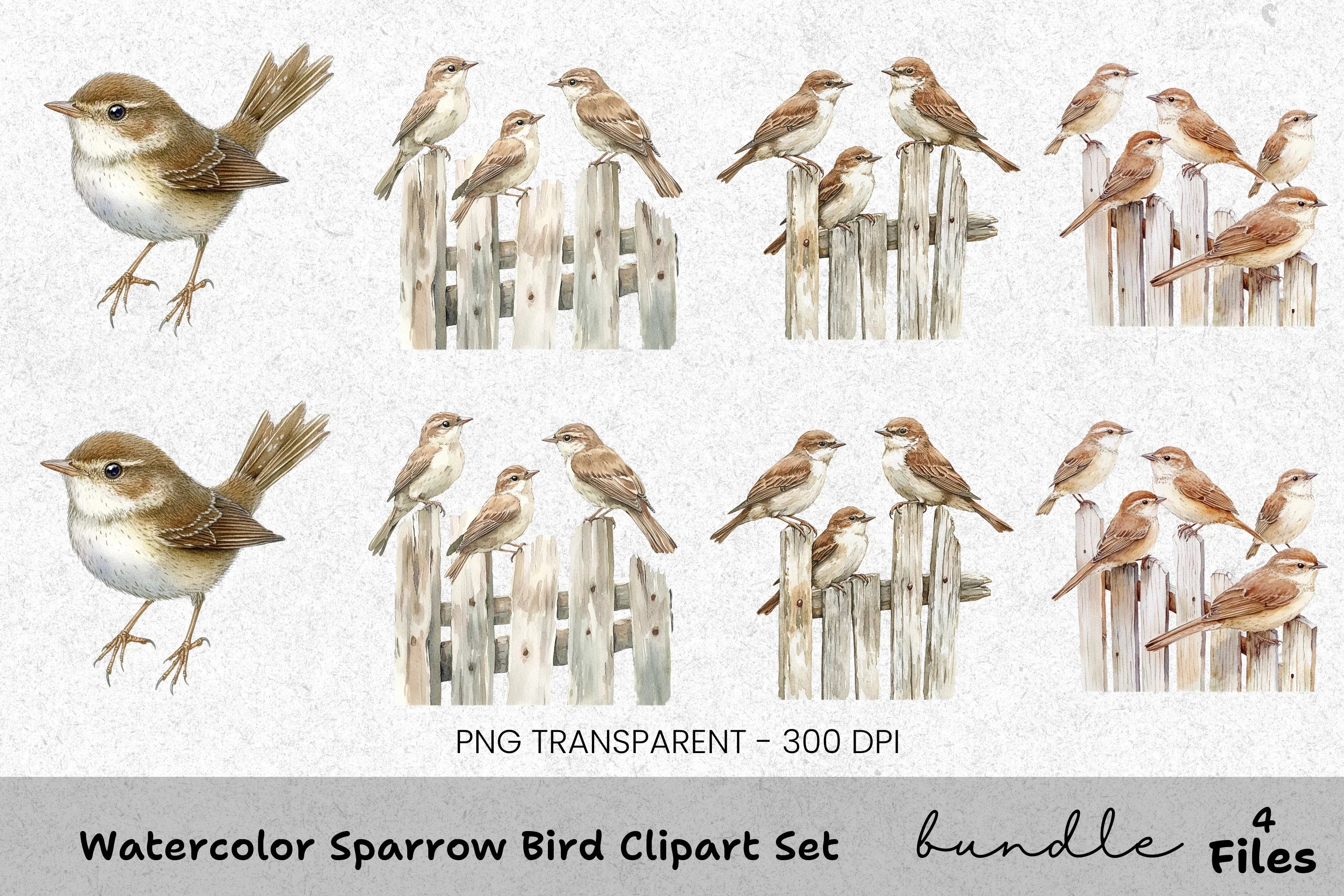 Sparrow Bird Clipart Bundle