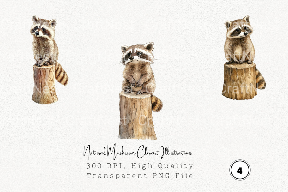 Natural Mushroom Illustrations Clipart Bundle