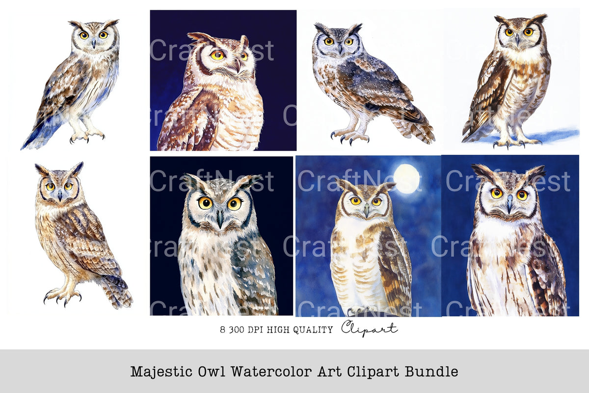 Majestic Owl Clipart Bundle
