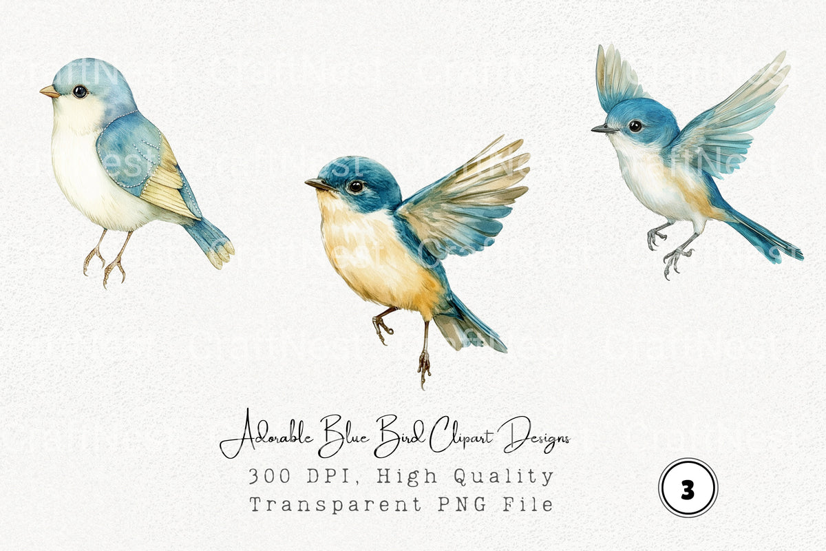 Adorable Blue Bird Designs Clipart Bundle