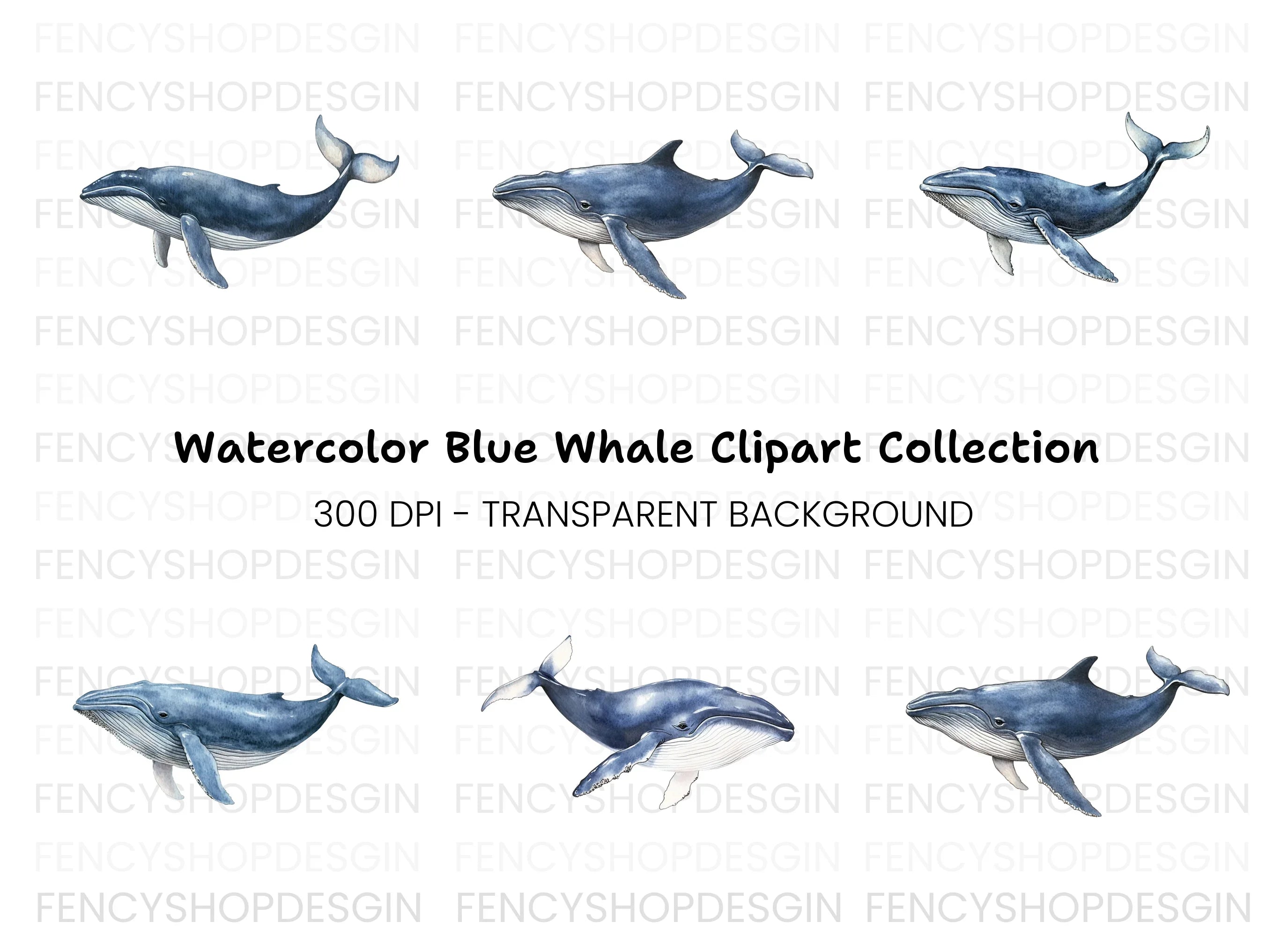Blue Whales Clipart Bundle