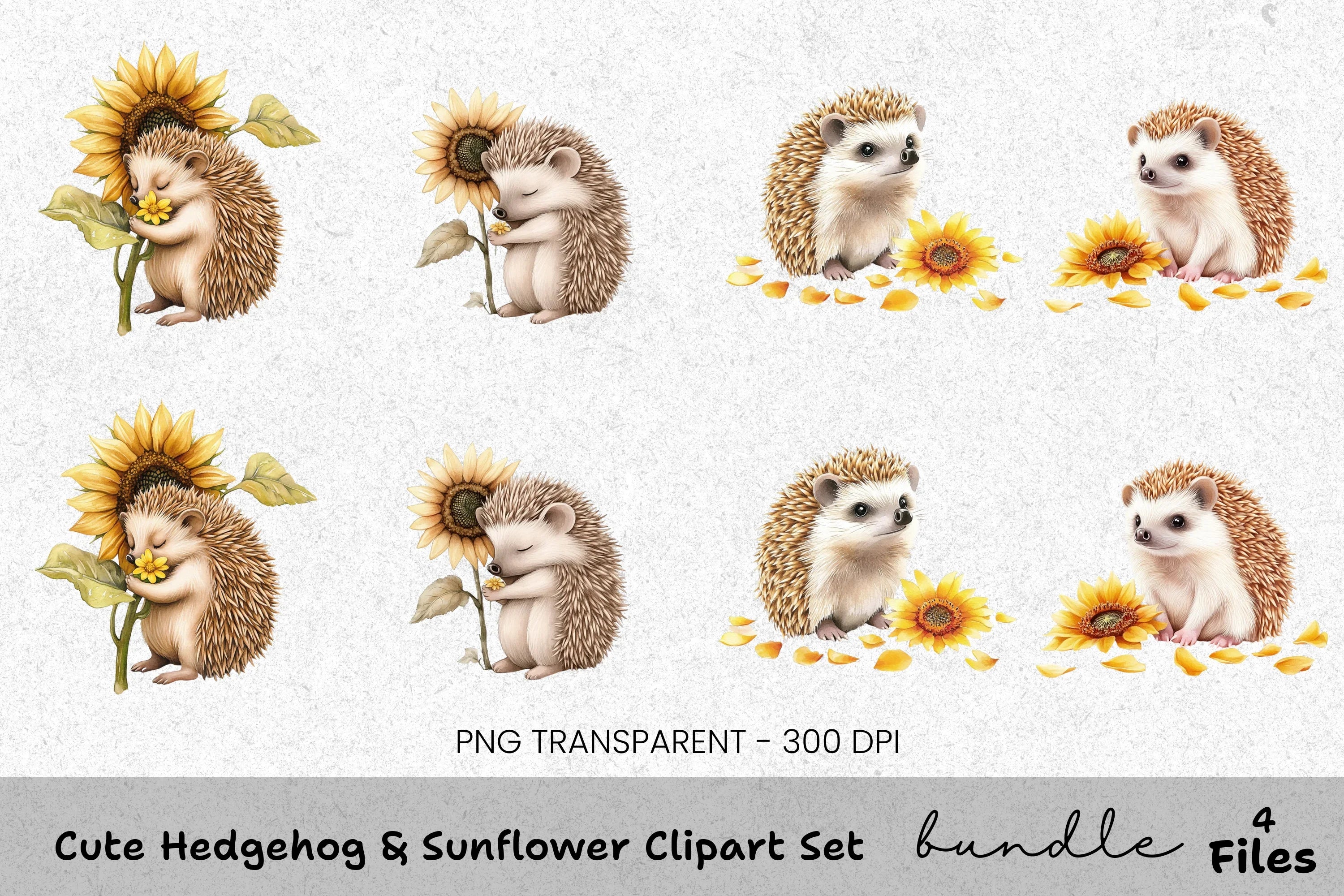 Cute Hedgehog Sunflower Clipart Bundle