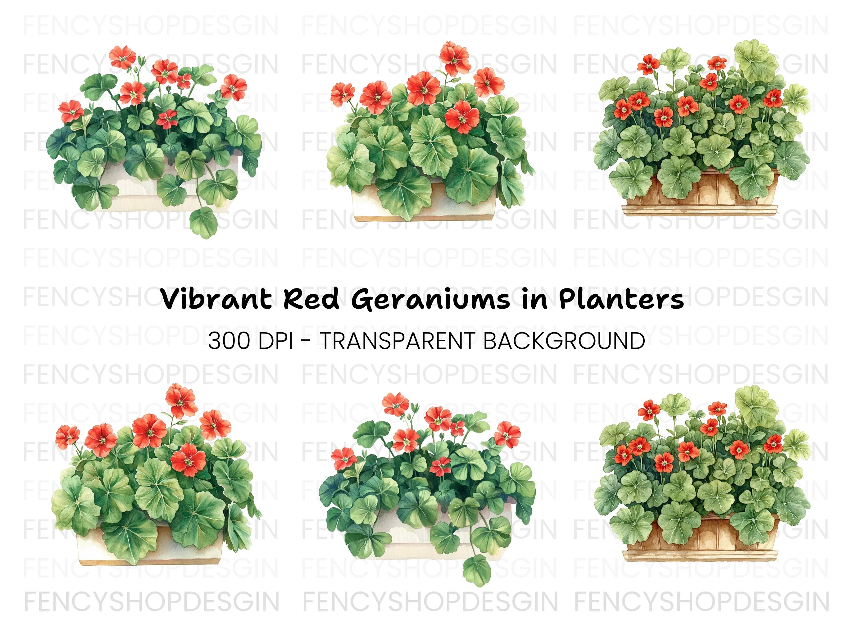 Geraniums in Pots Clipart Bundle
