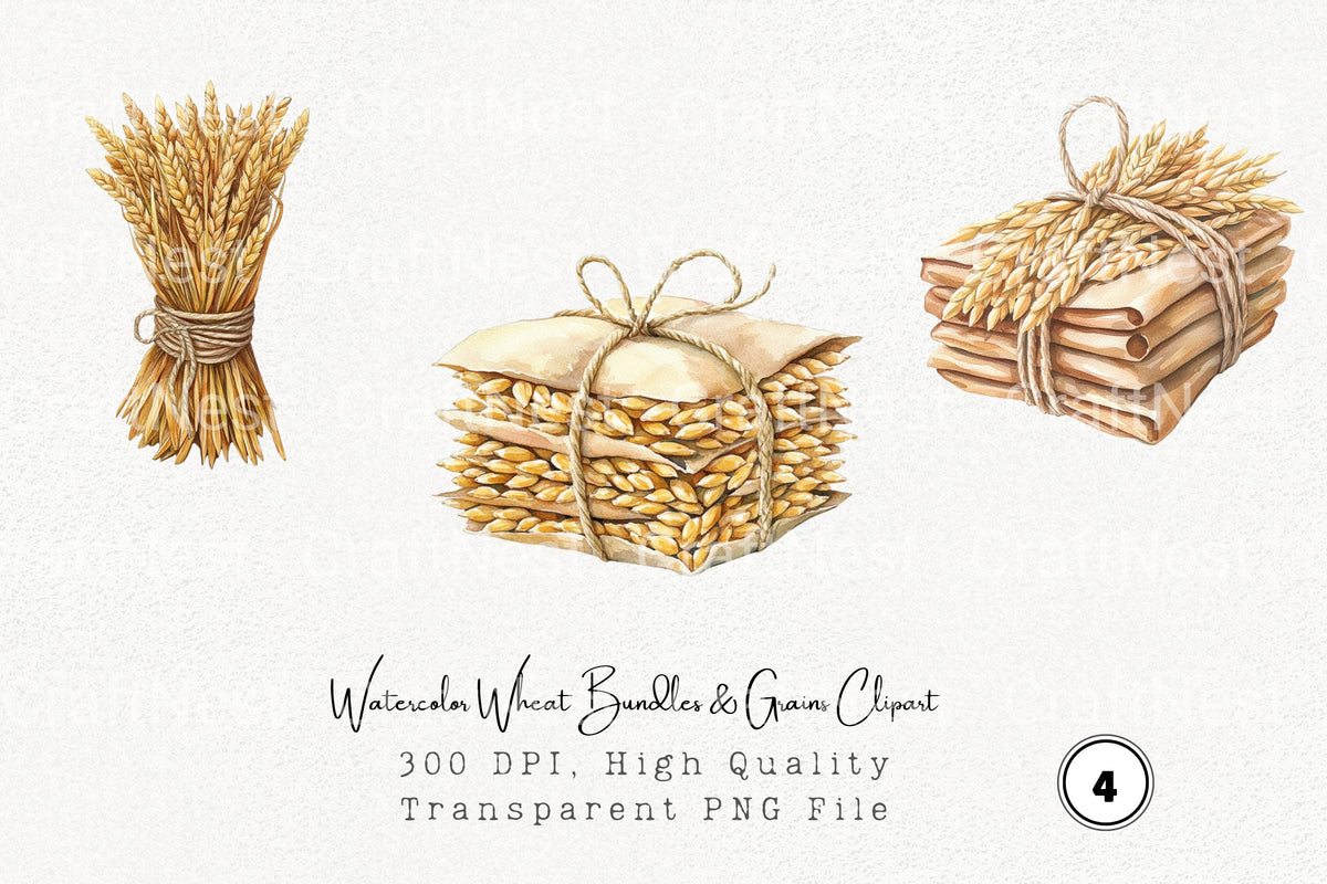 Wheat Bundles Grains Clipart Bundle