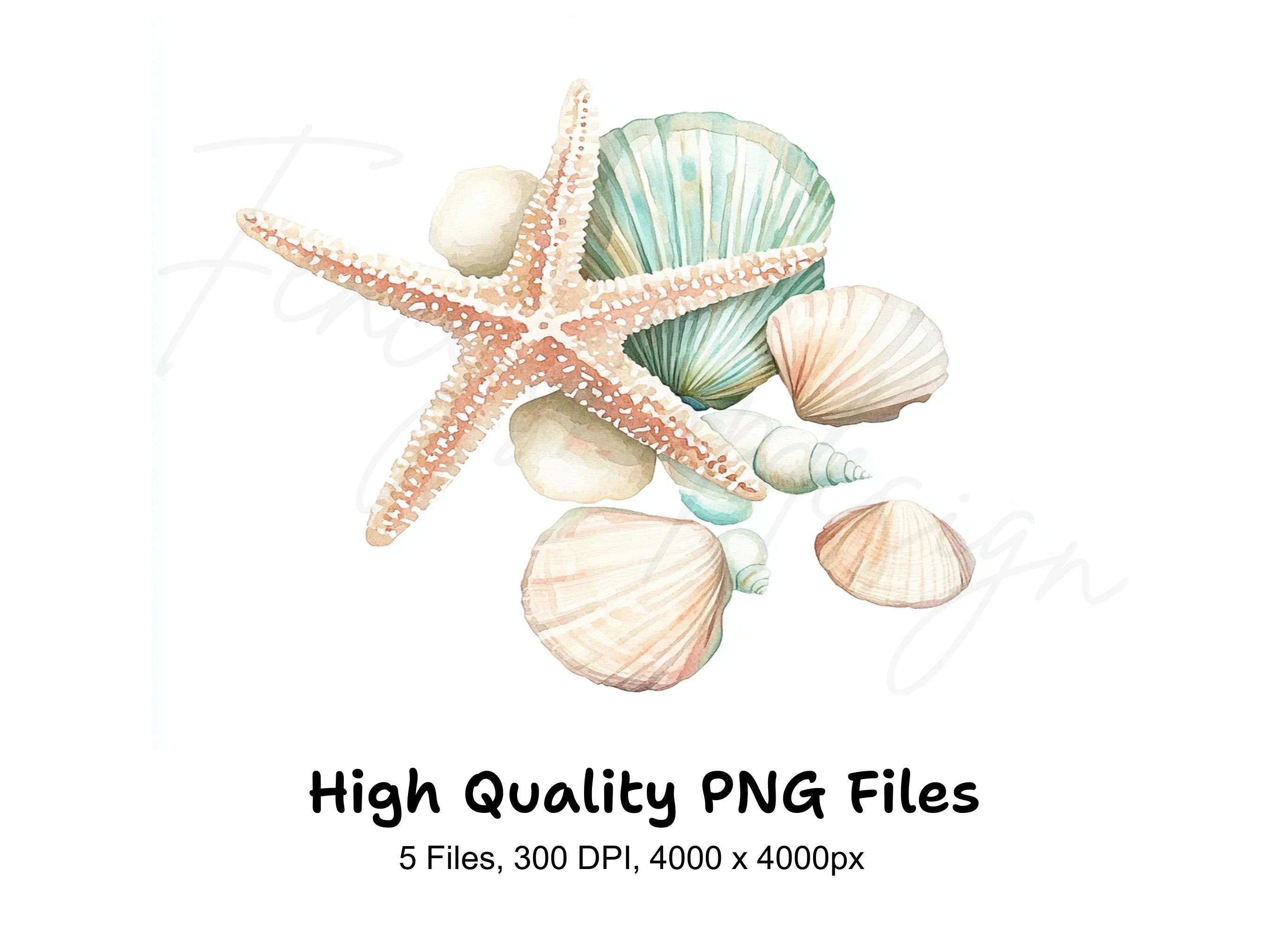 Seashells Starfish Clipart Bundle