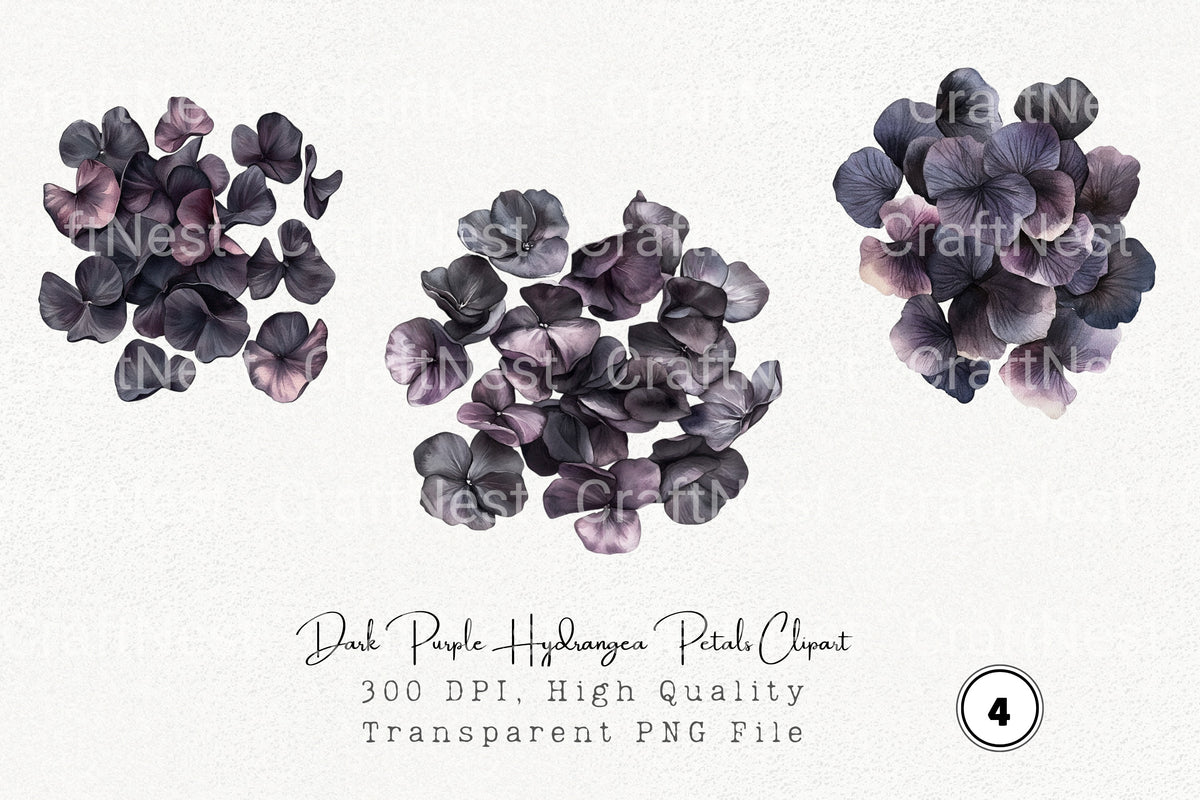 Dark Purple Hydrangea Petals Clipart Bundle