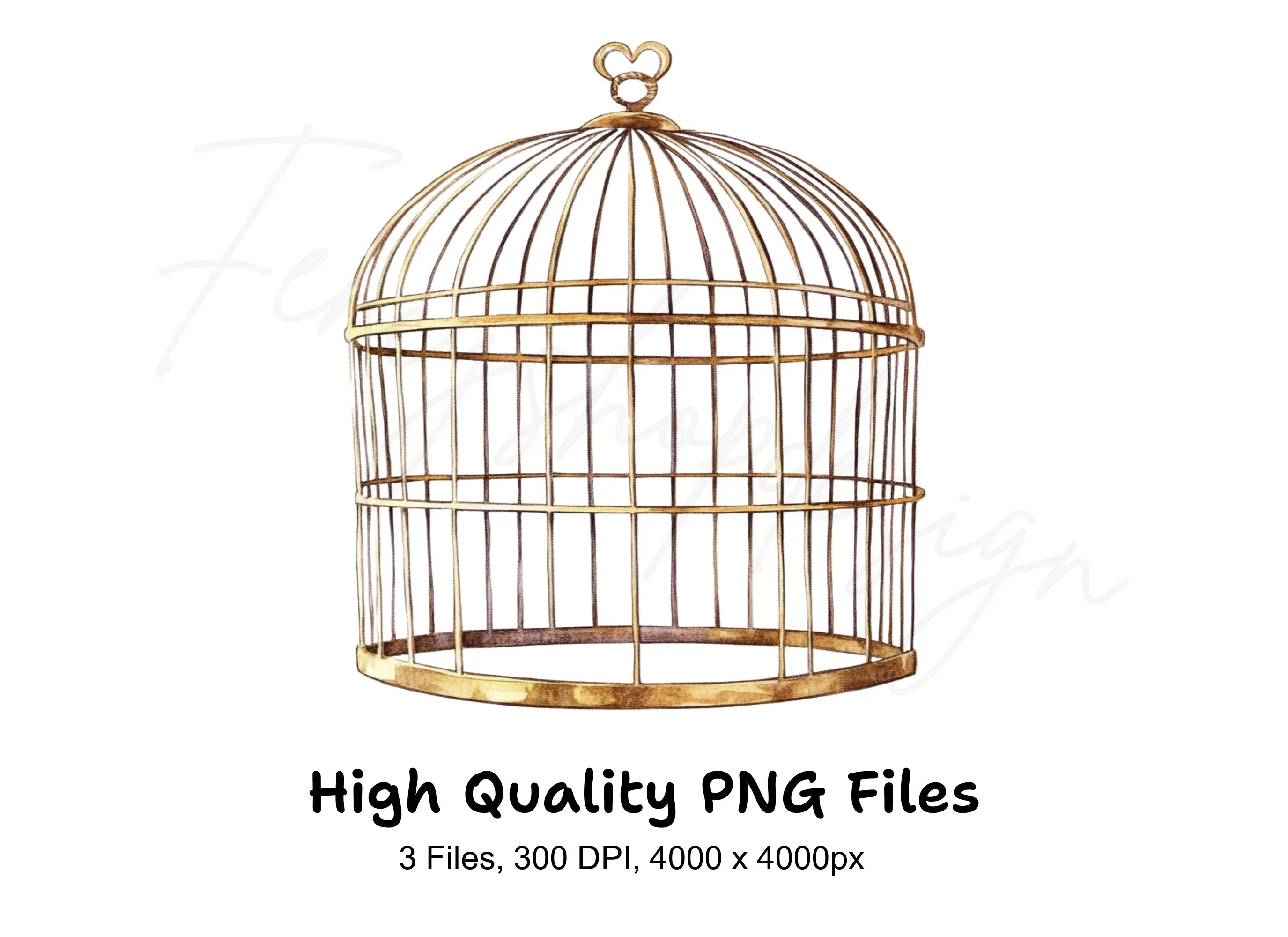 Vintage Bird Cages Clipart Bundle
