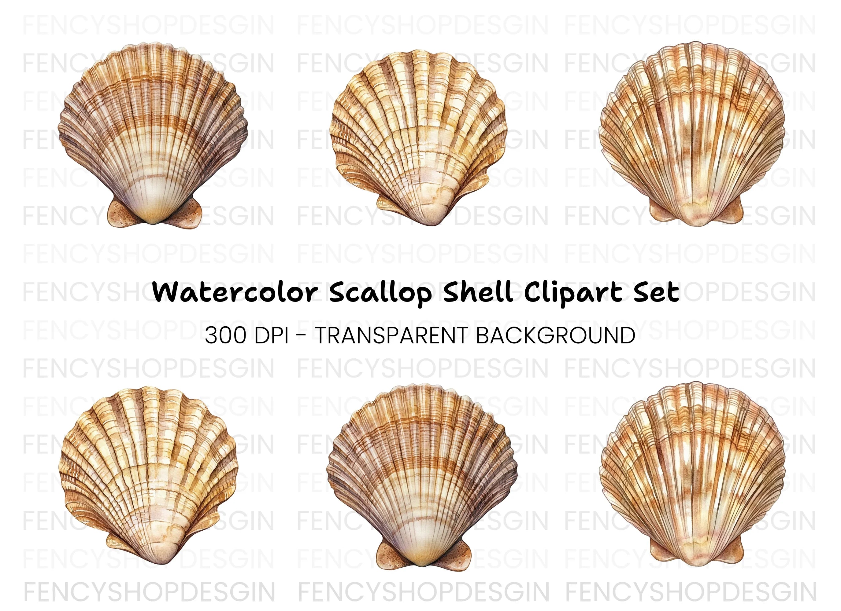Scallop Shells Clipart Bundle