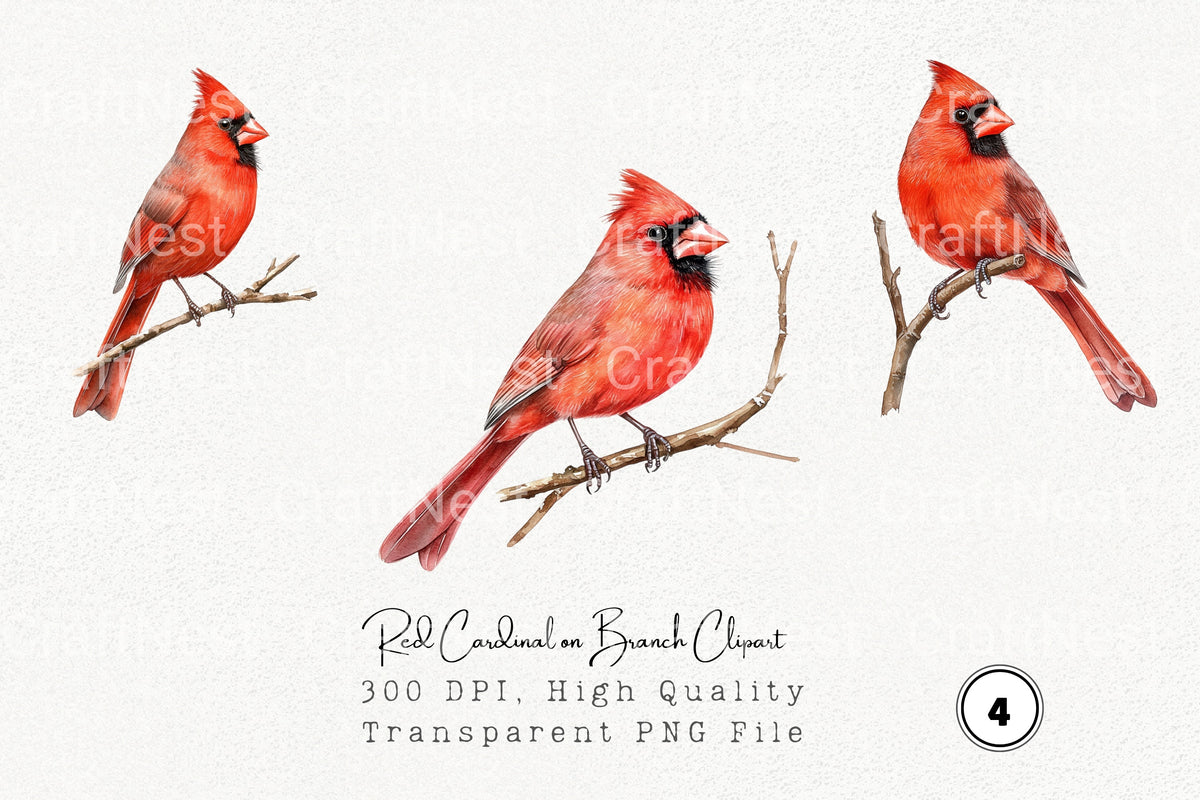 Red Cardinal On Branch Clipart Bundle