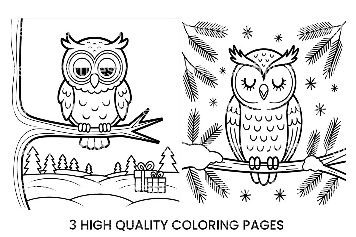 Cute Winter Owl Coloring Books