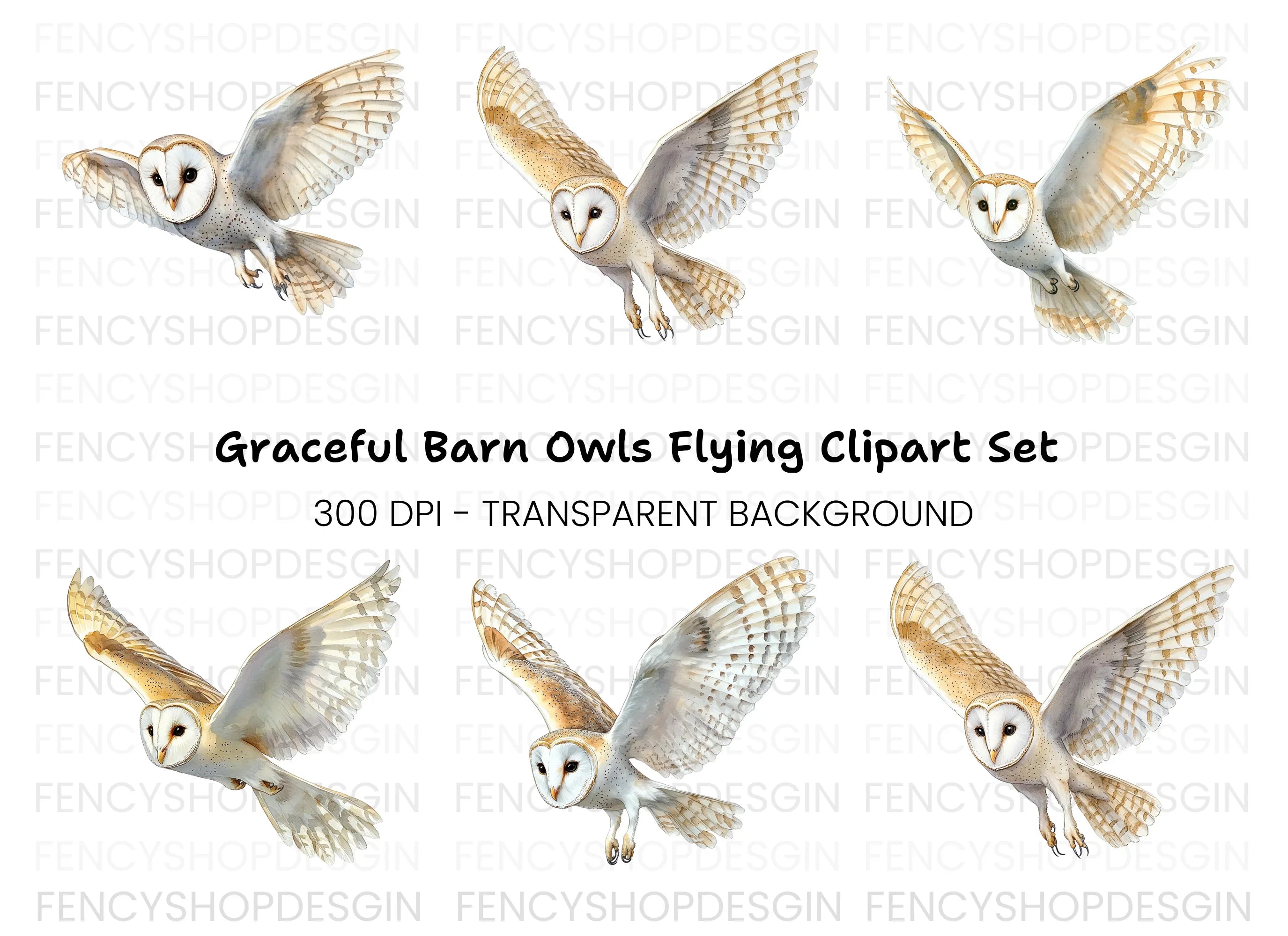 Barn Owl Flight Clipart Bundle