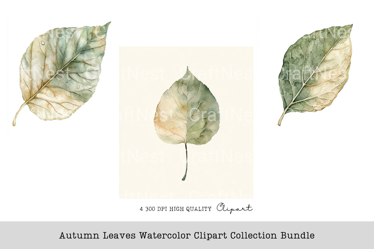 Autumn Leaves Clipart Bundle