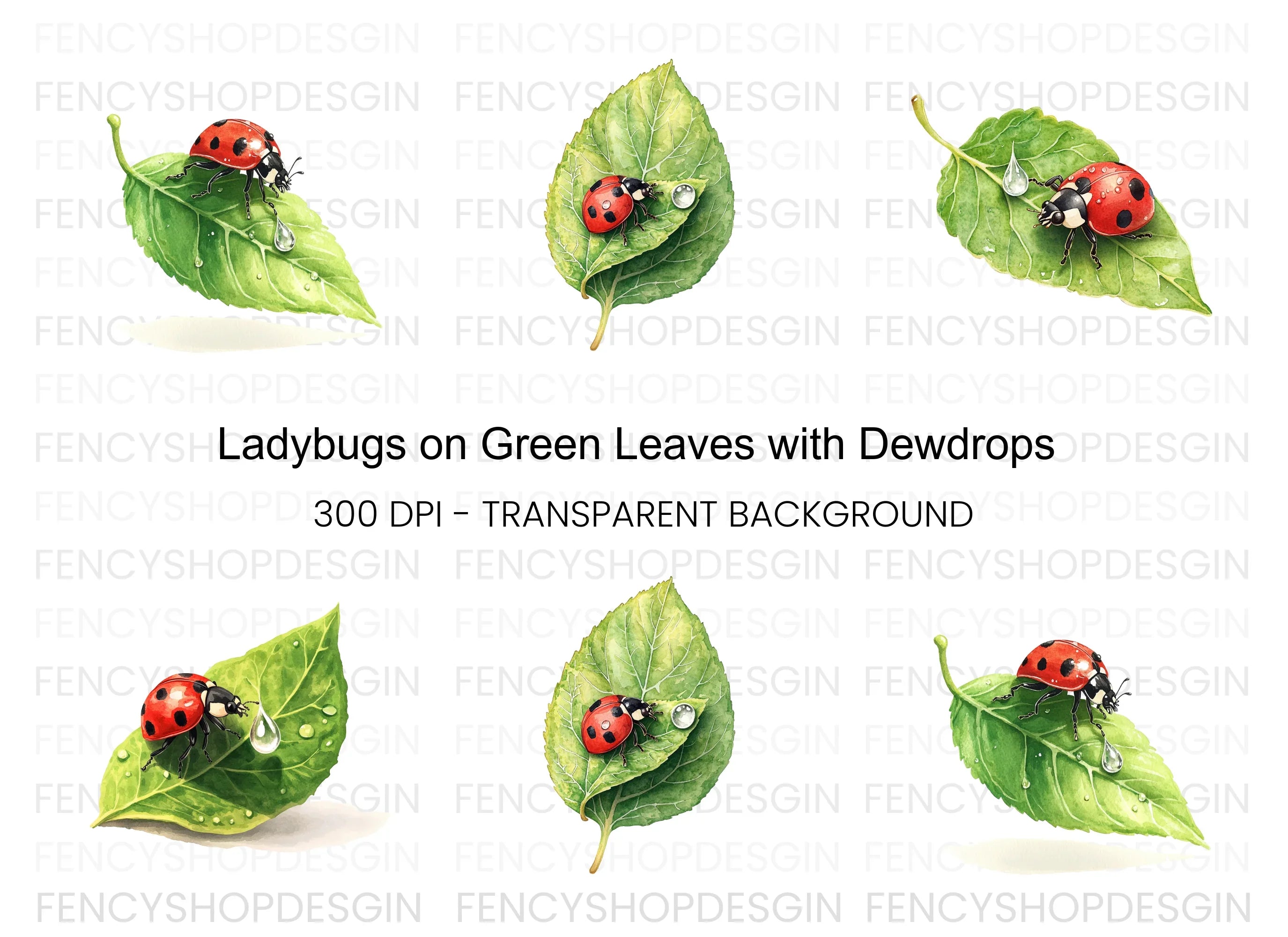 Ladybug on Leaf Clipart Bundle