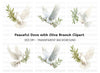 Flying Doves with Olive Branches Clipart Bundle
