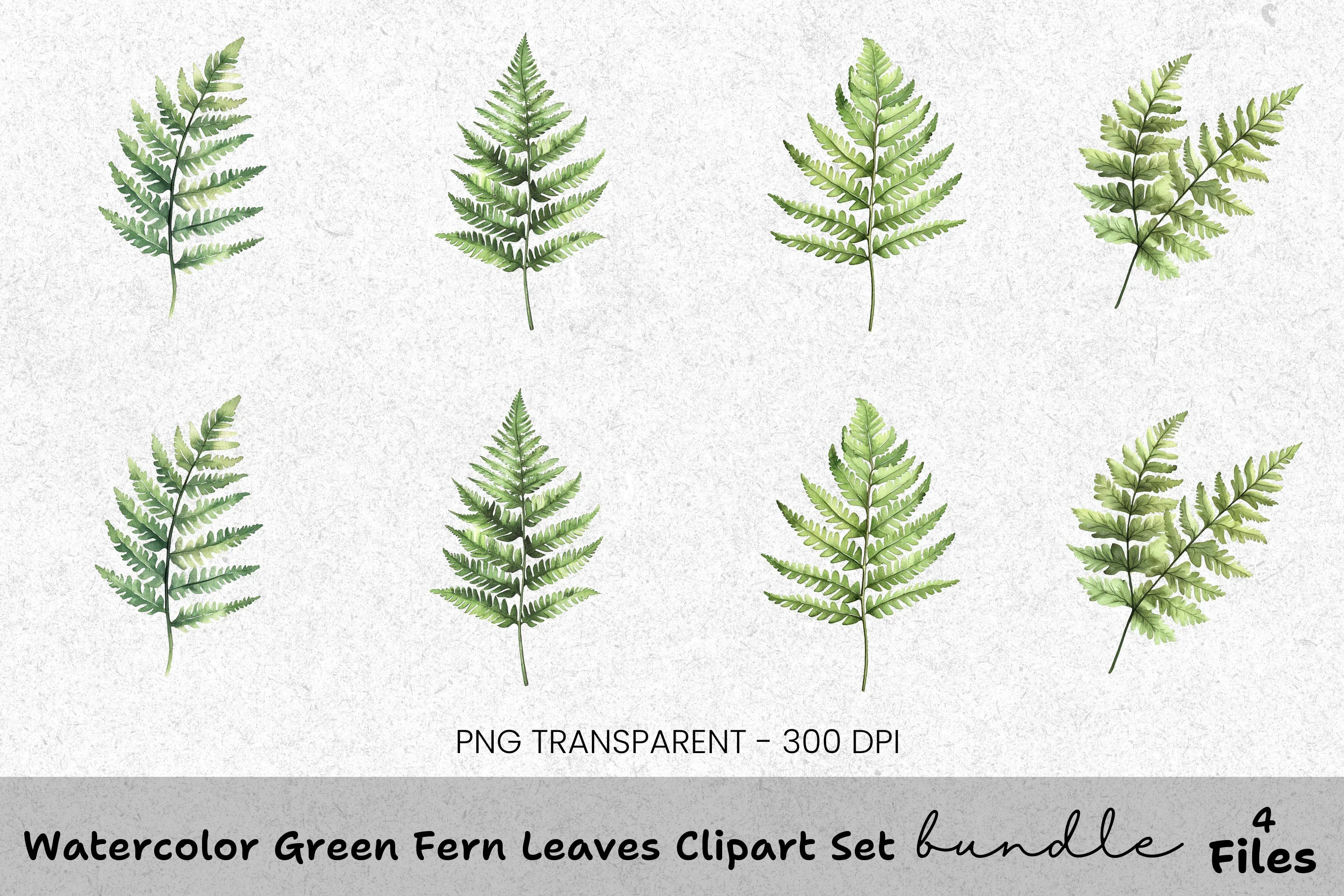 Green Fern Leaves Clipart Bundle