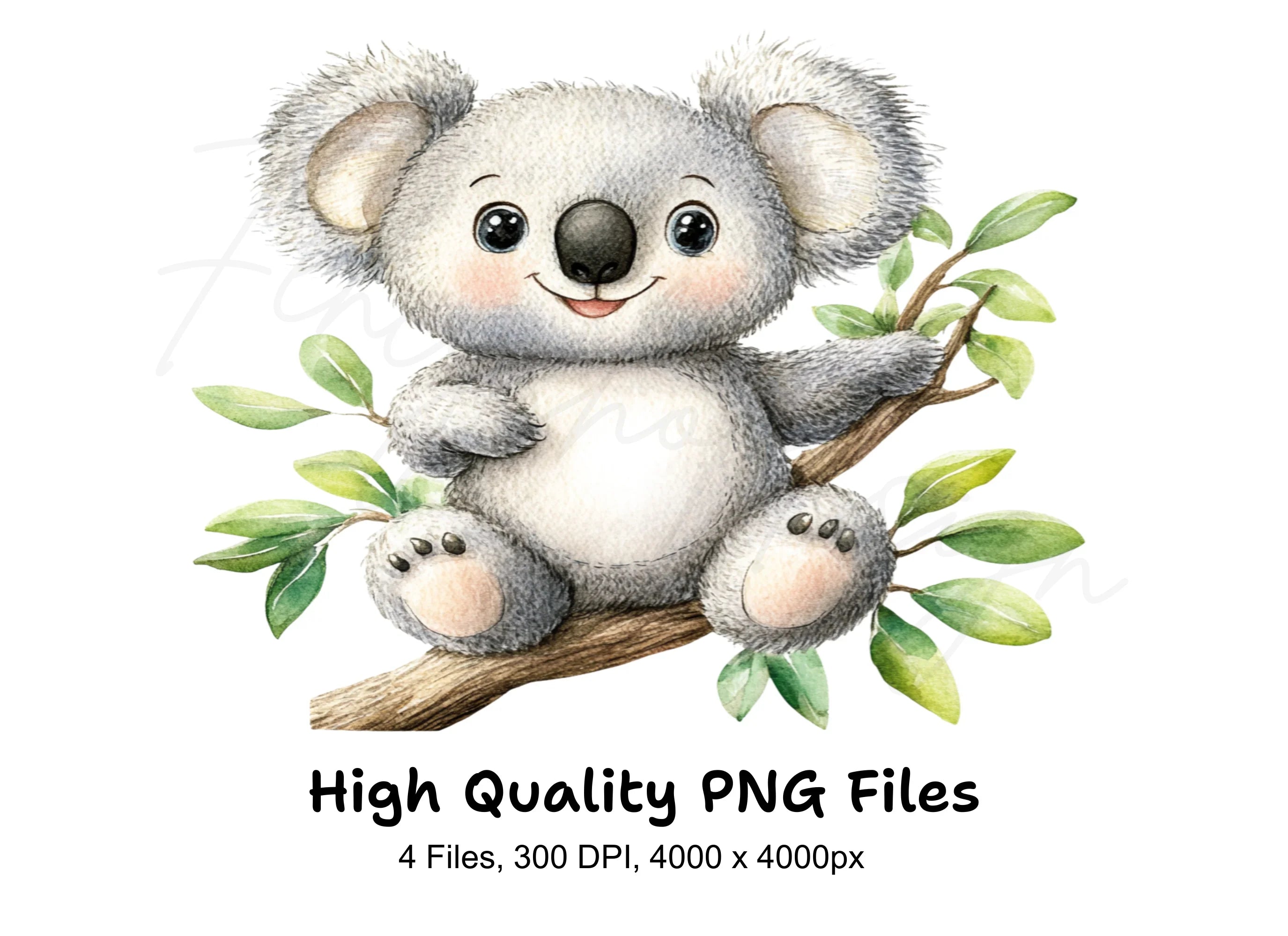 Cute Koala Bear Clipart Bundle