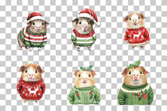 Cute Christmas Guinea Pig Clipart Bundle - CraftNest - Digital Crafting and Art