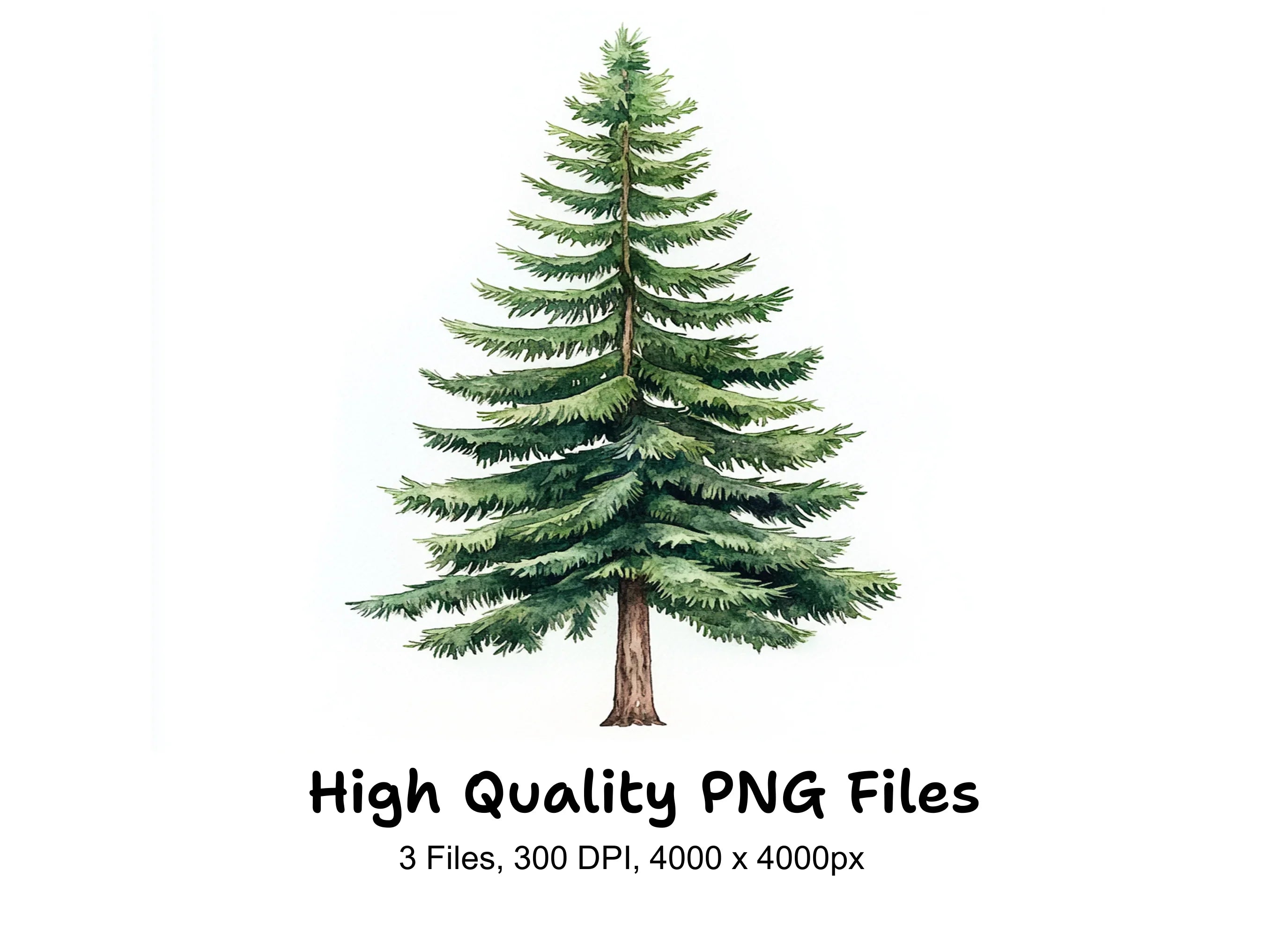 Realistic Pine Tree Clipart Bundle