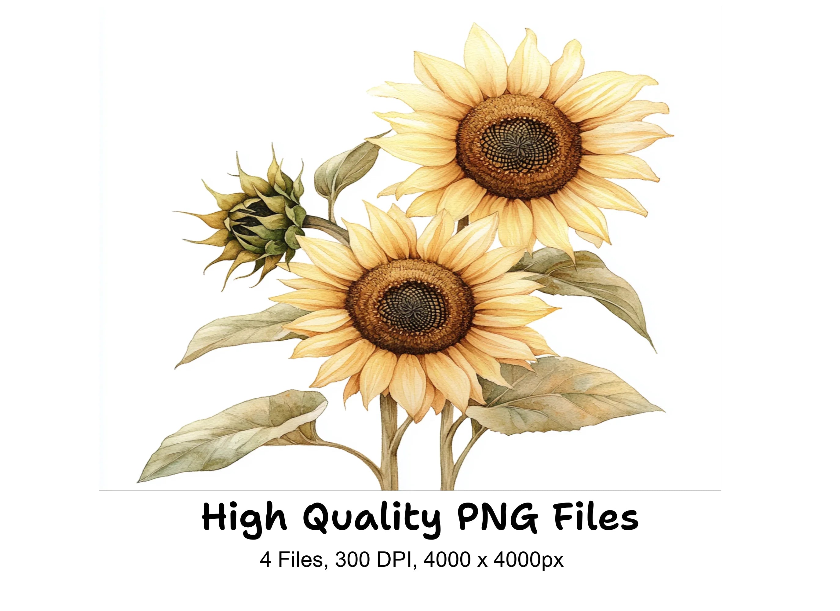 Sunny Sunflower Clipart Bundle