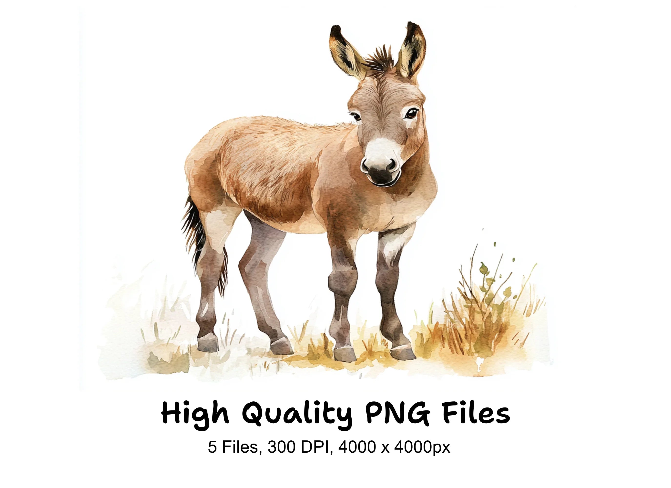 Donkey Clipart Bundle