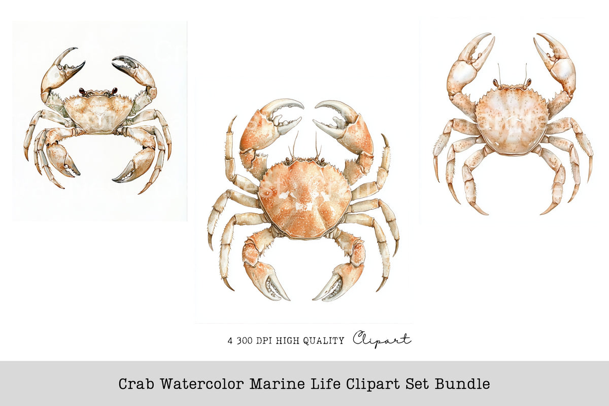 Crab Marine Life Clipart Bundle
