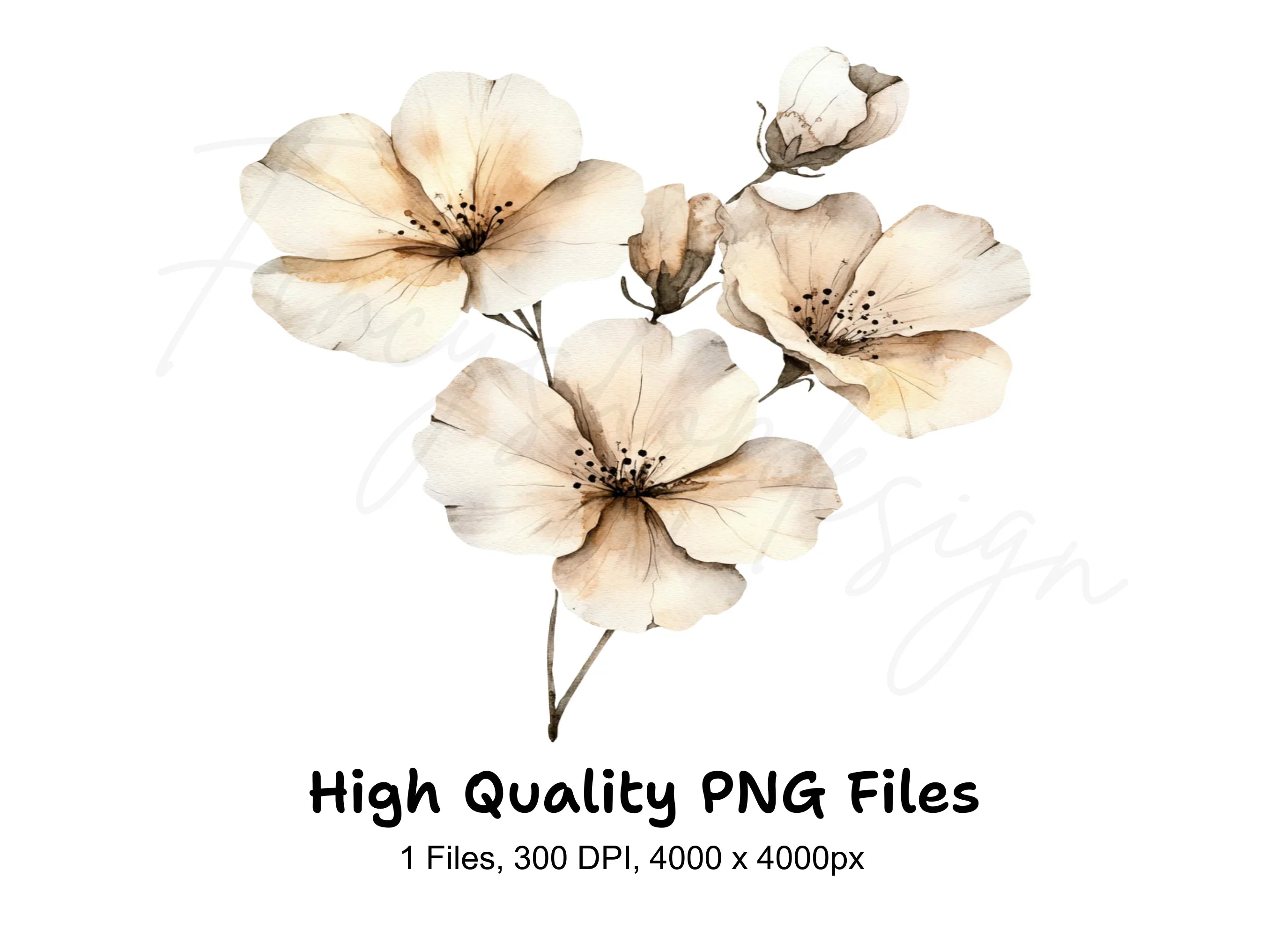 Elegant White Floral Clipart Bundle