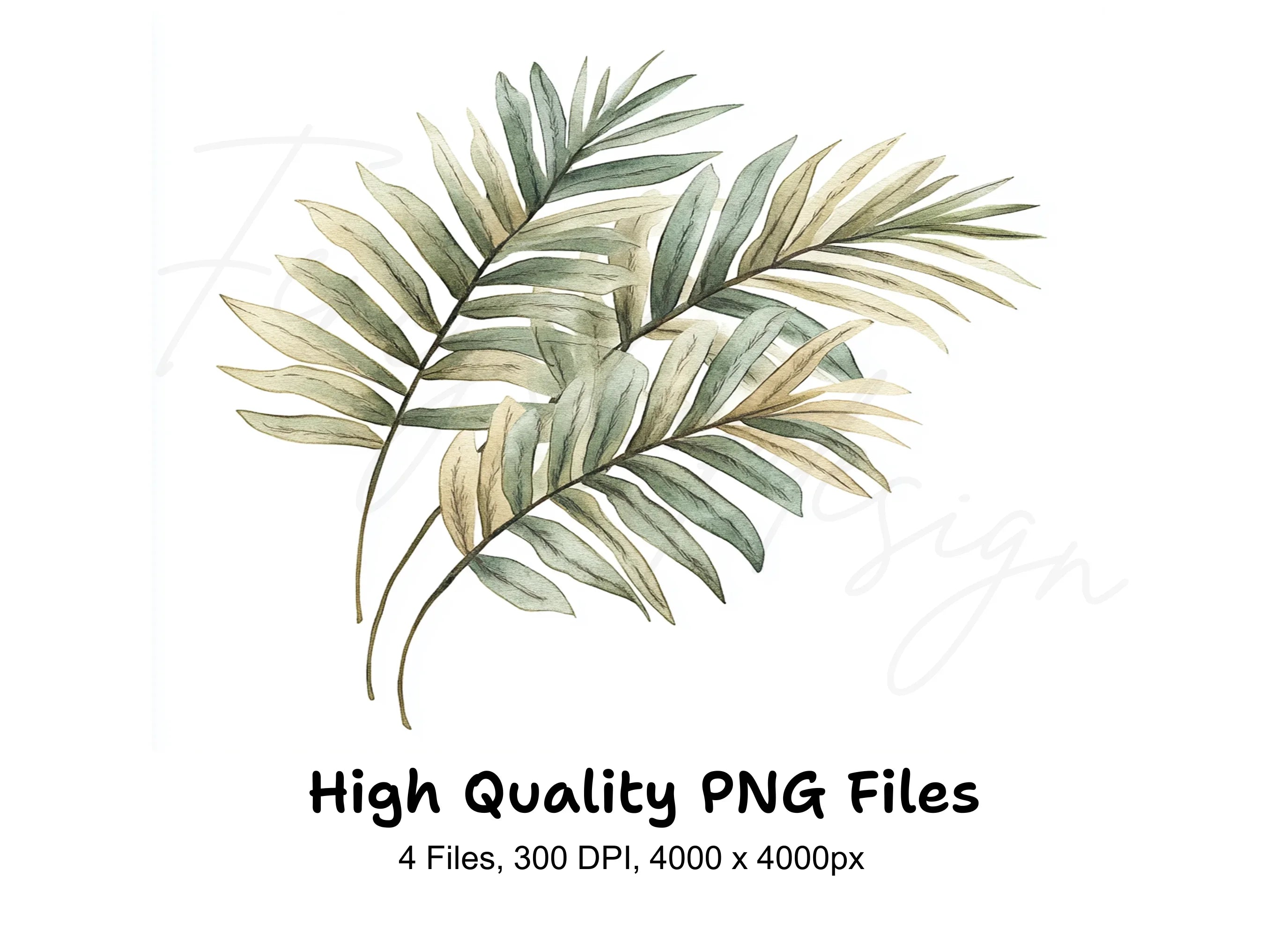 Tropical Leaves Clipart Bundle
